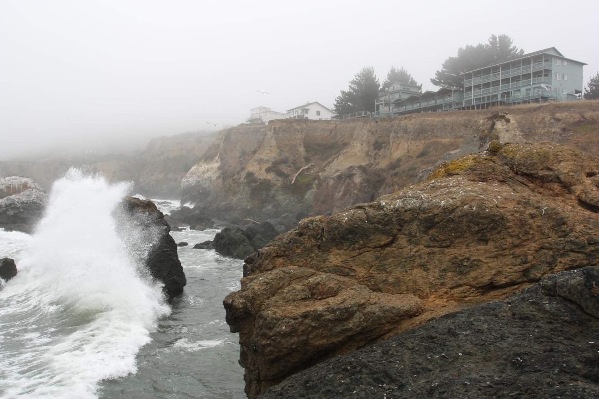 Inn of the Lost Coast