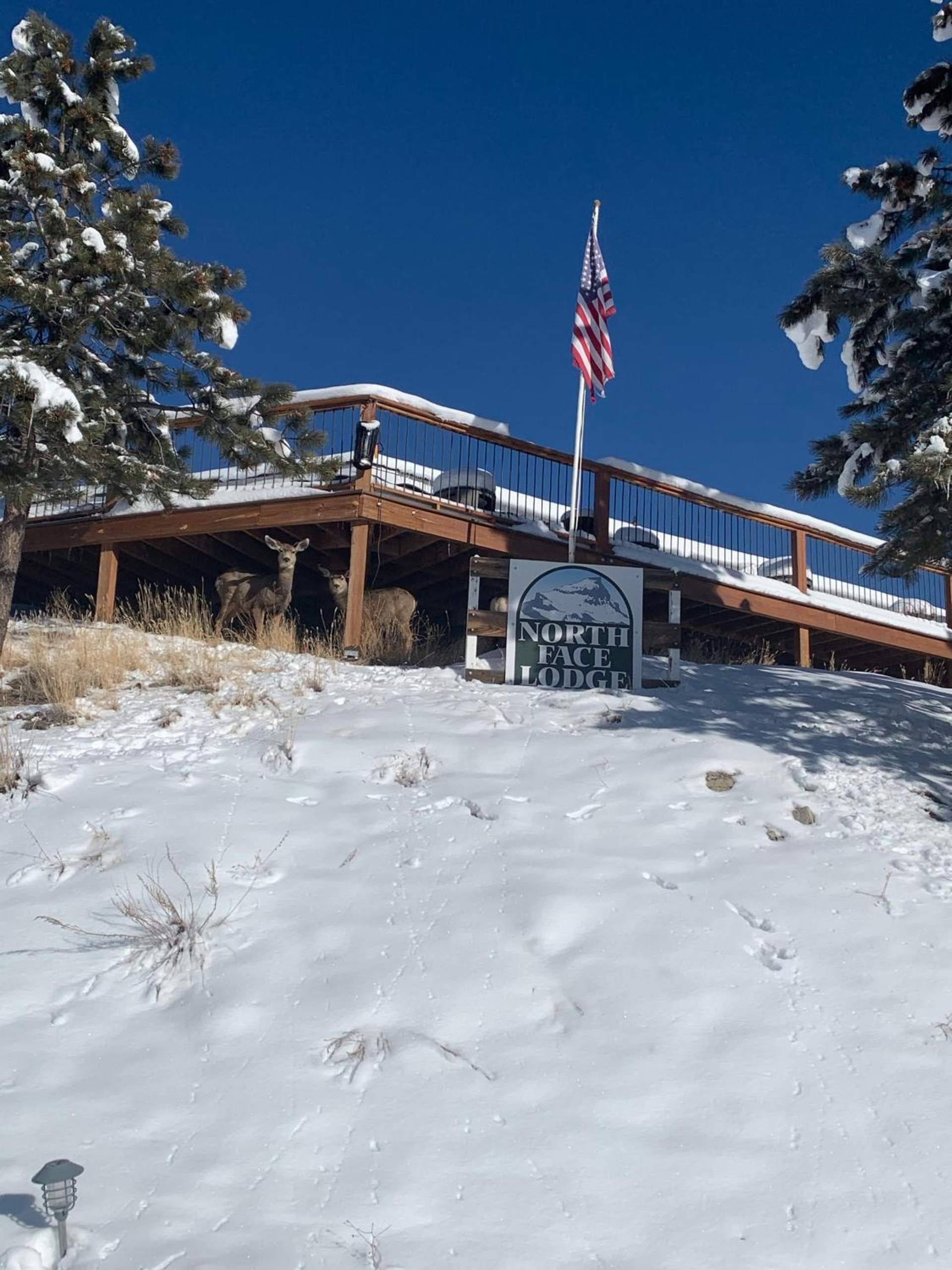 The North Face Lodge