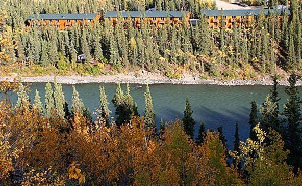 Denali Grizzly Bear Resort