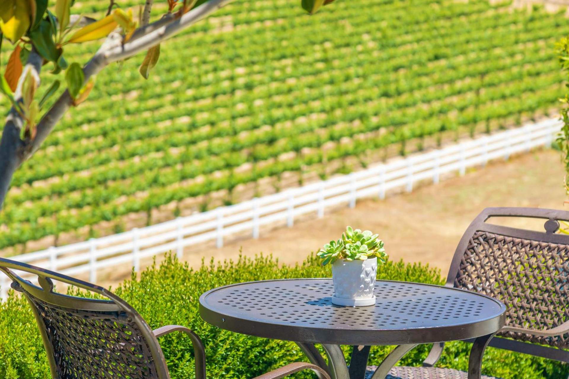Gaia Inn & Spa- Adult Only- Temecula Wine Country