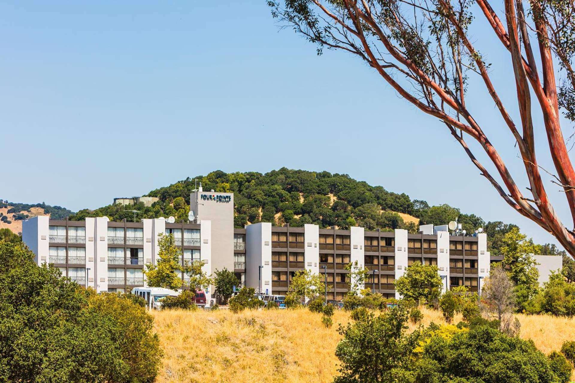 Marin Hilltop Hotel