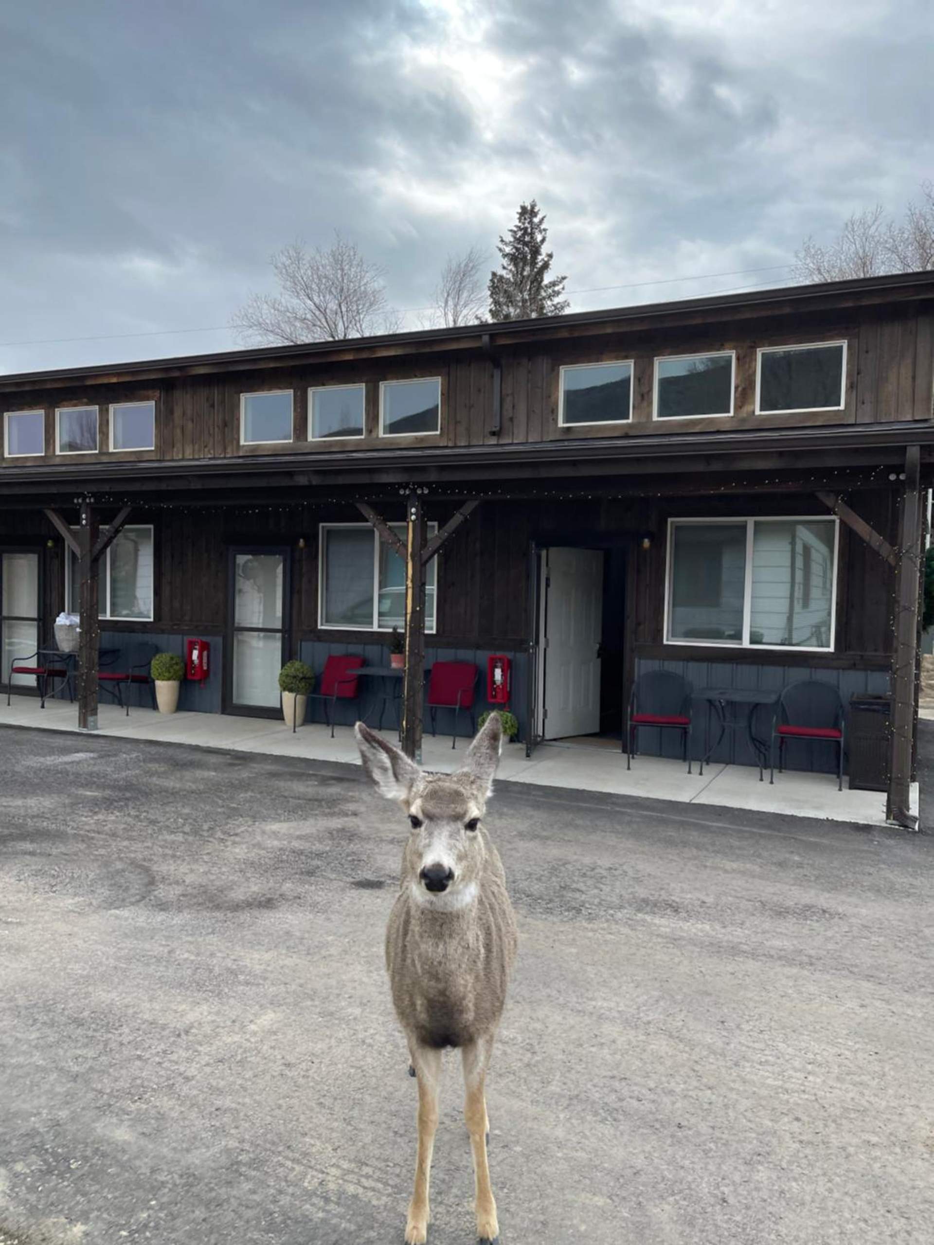 Corral Villas Yellowstone