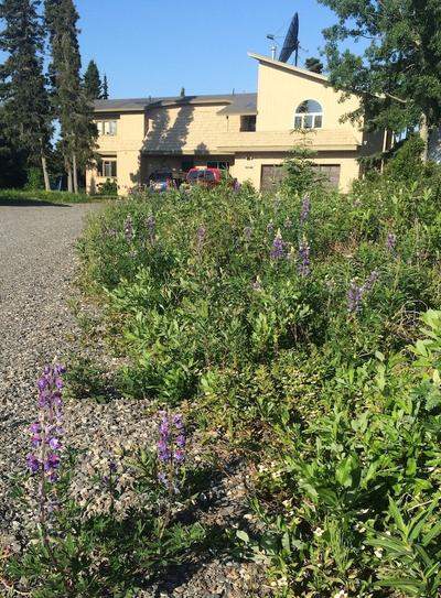 Ocean View Inn Kenai