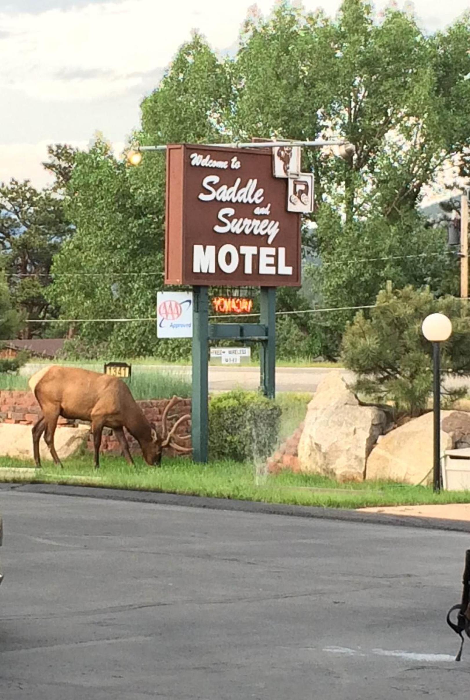 Saddle & Surrey Motel photo 12