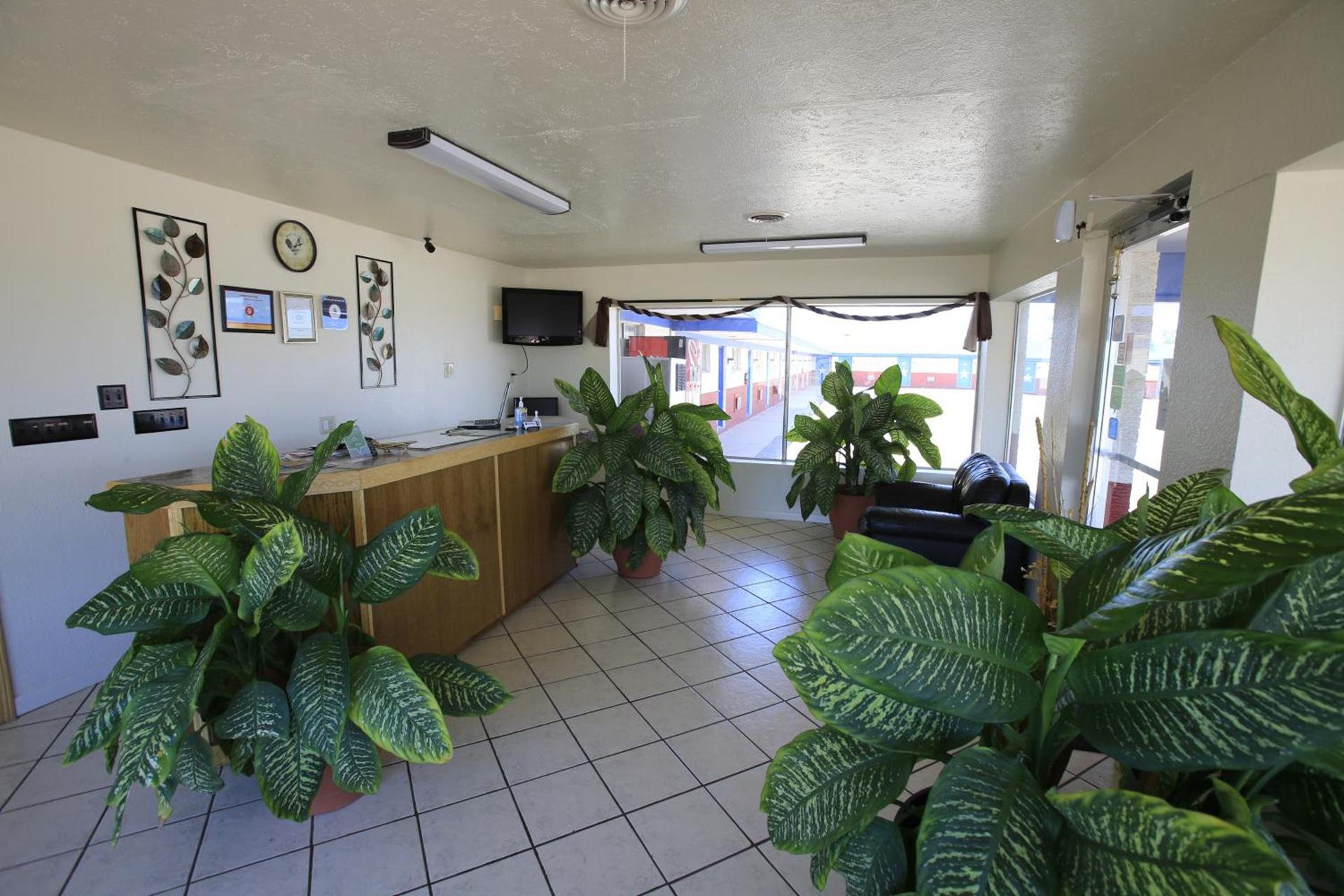Shamrock Country Inn photo 17