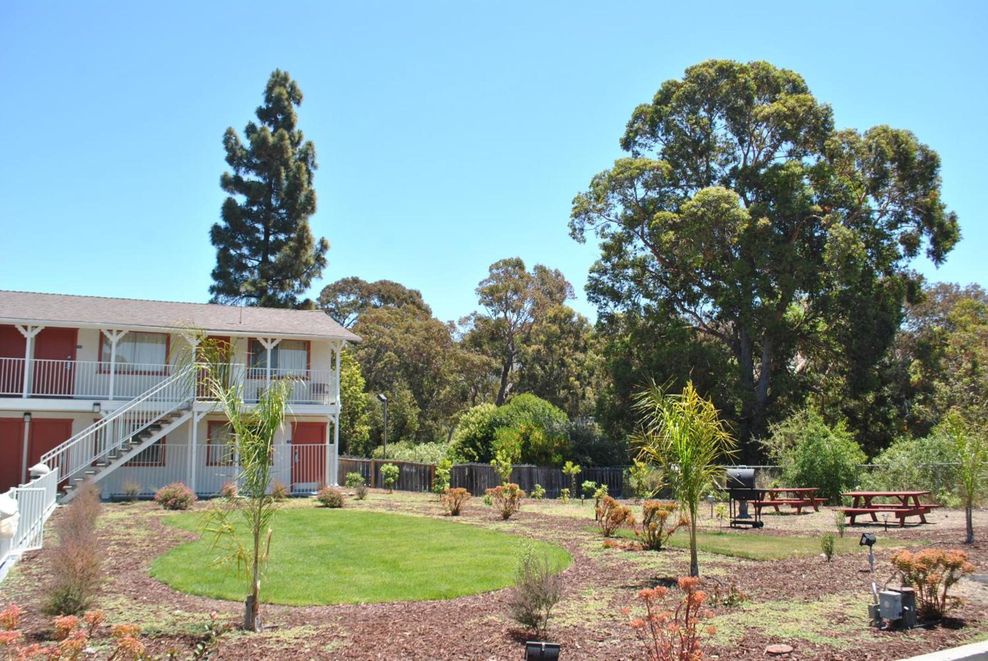 Budget Inn photo 19