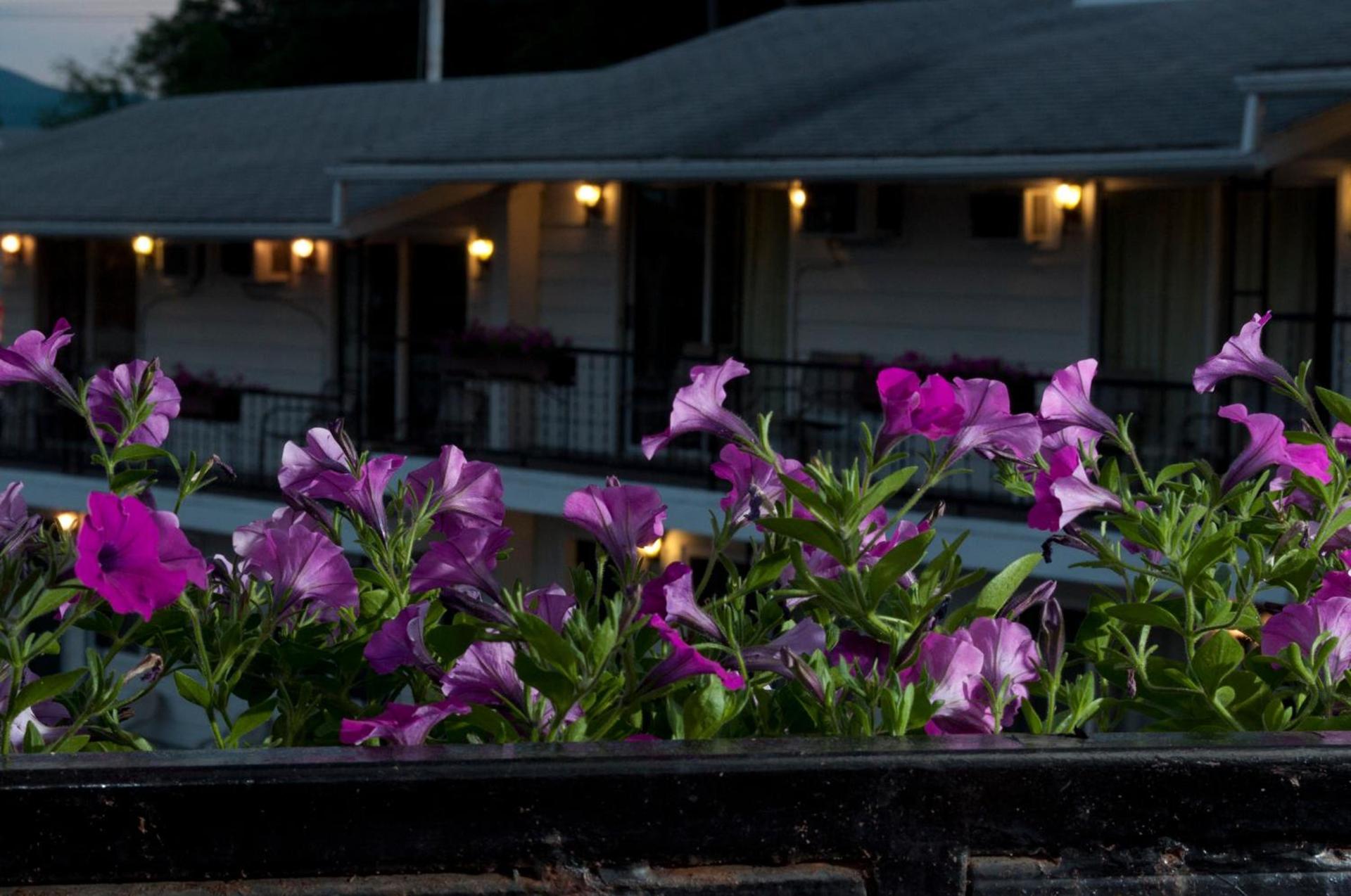 The Lake George Inn photo 24