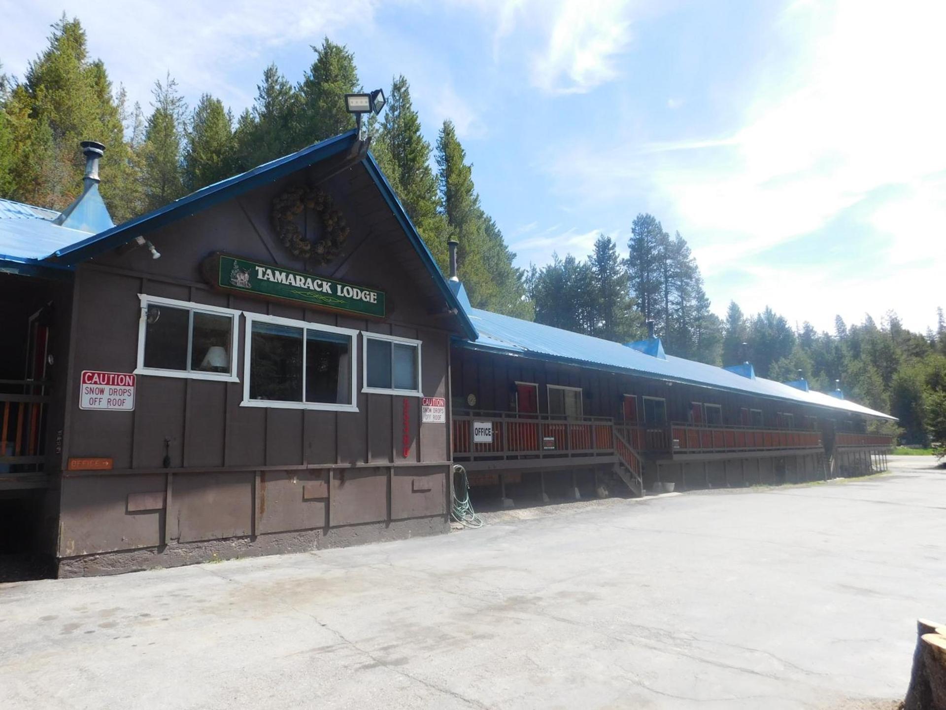 The Tamarack Lodge photo 1