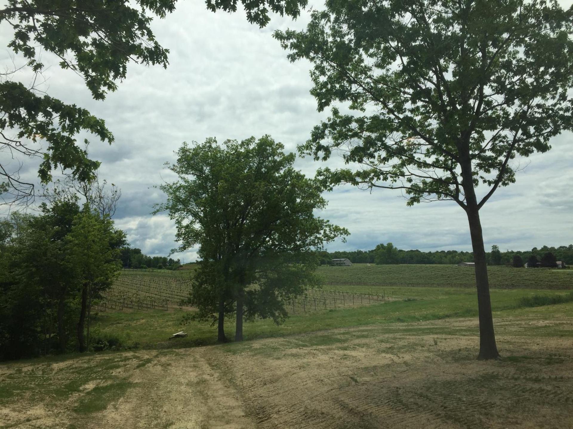 Vineyard Woods photo 54