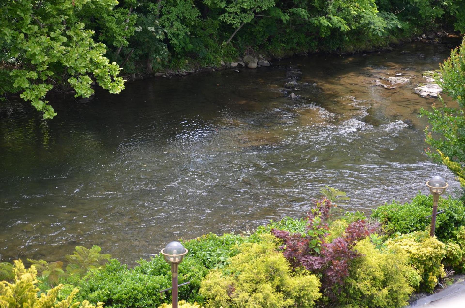 Rivergate Mountain Lodge photo 36