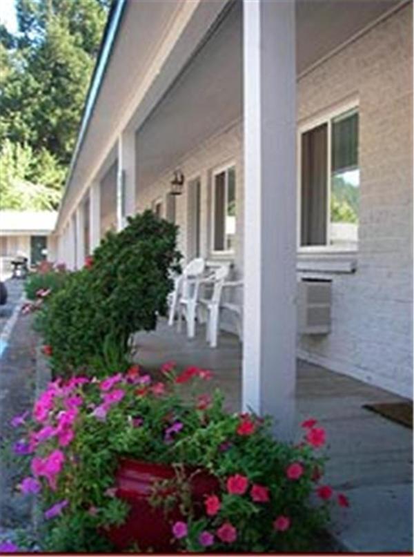 Forest Lodge Motel photo 16