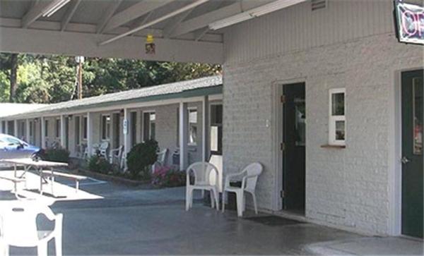 Forest Lodge Motel photo 17
