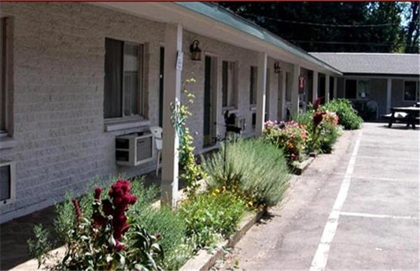 Forest Lodge Motel photo 15