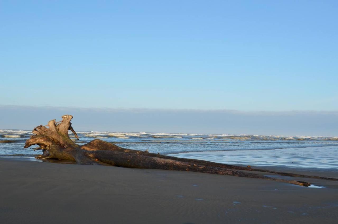 The Lowtide Motel photo 44