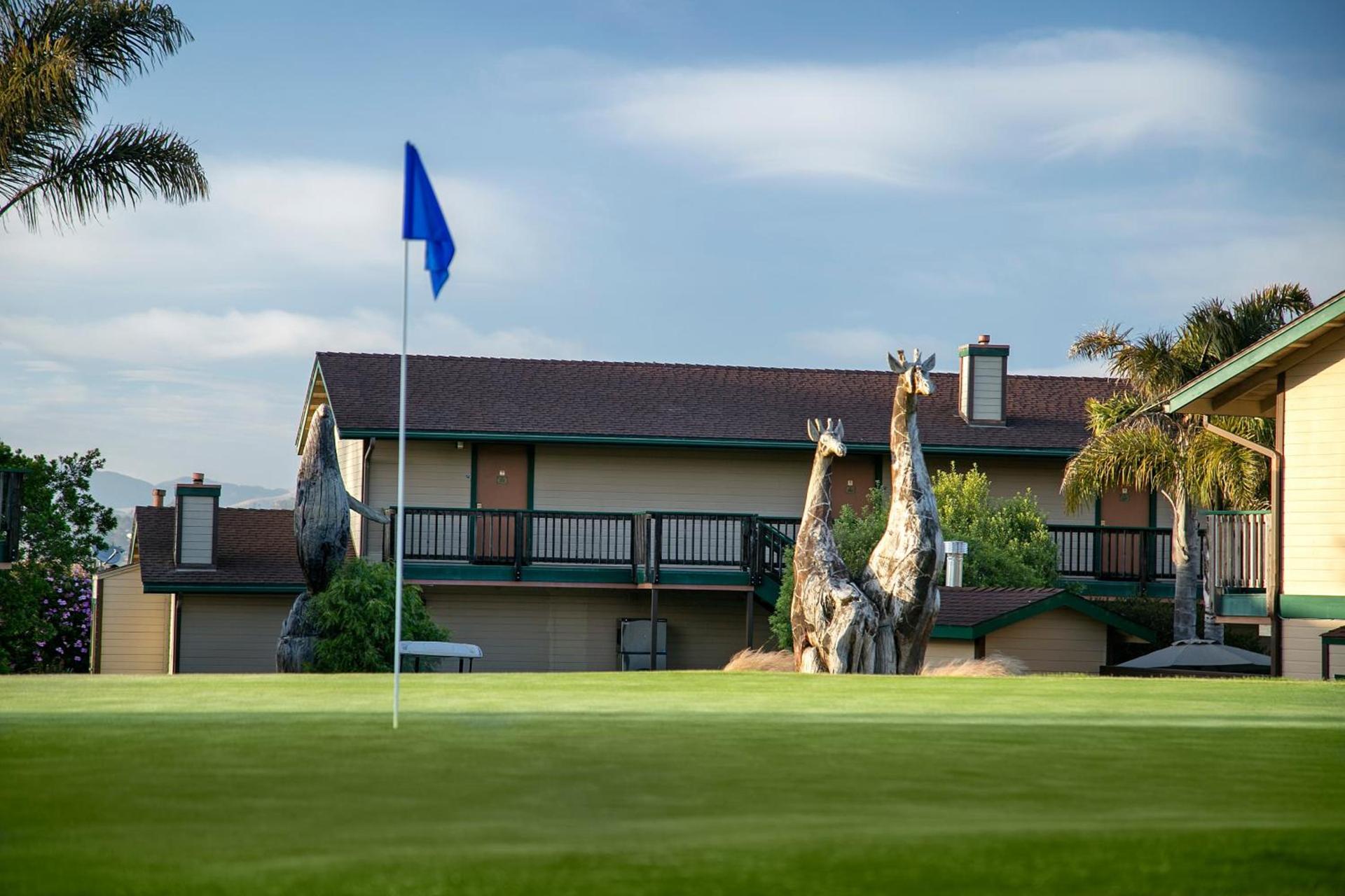 Sea Pines Golf Resort photo 32