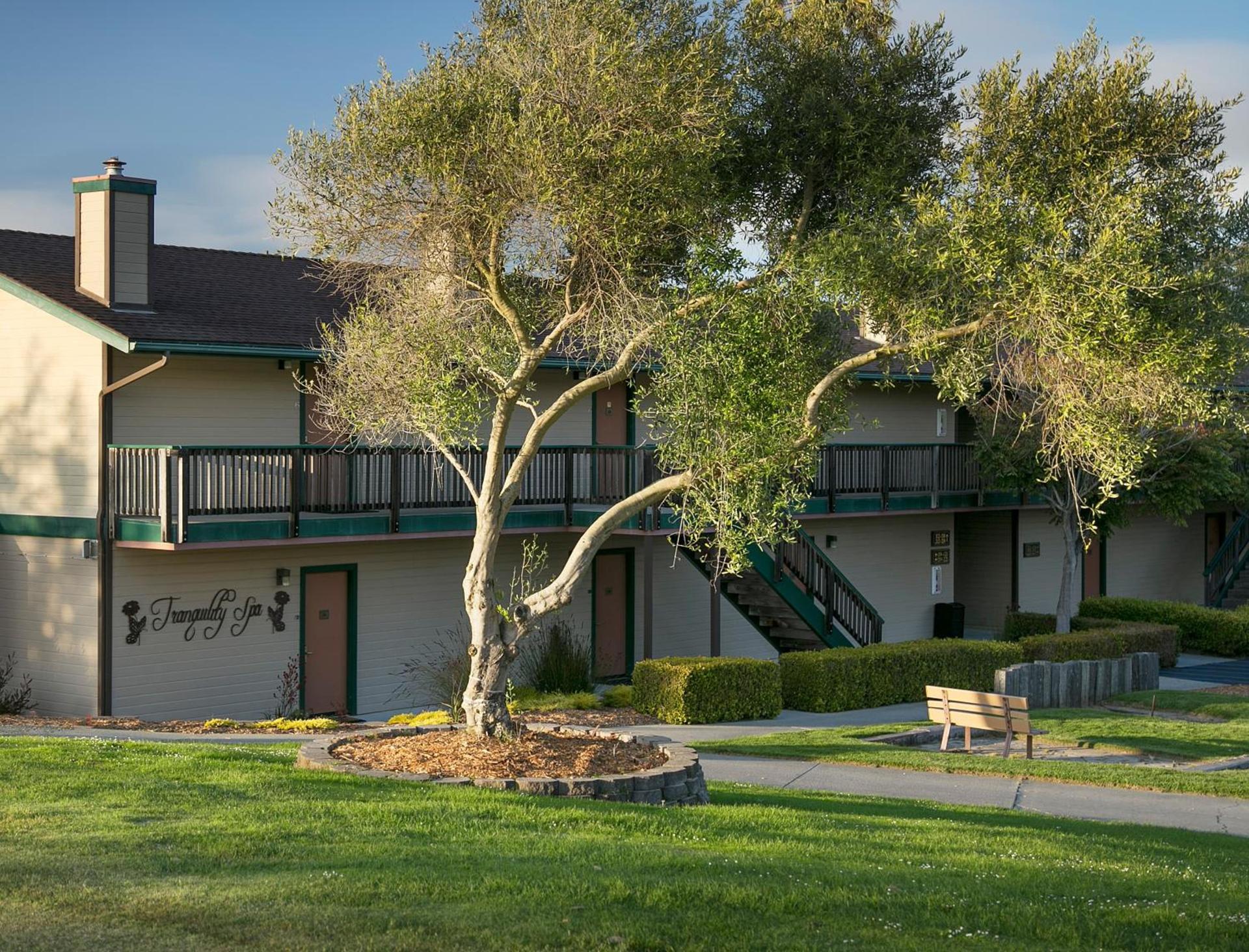Sea Pines Golf Resort photo 33