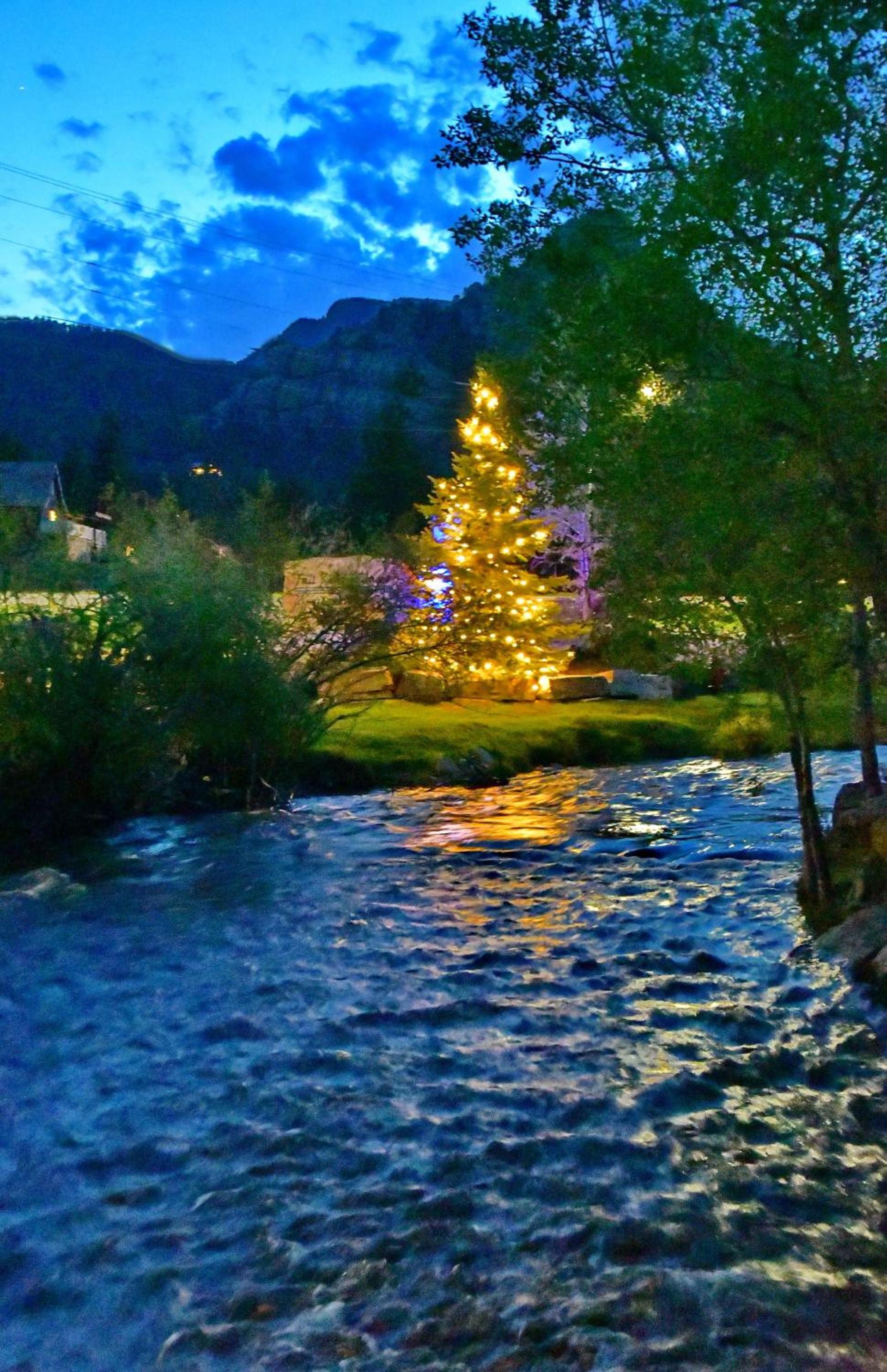 Murphy's River Lodge photo 68