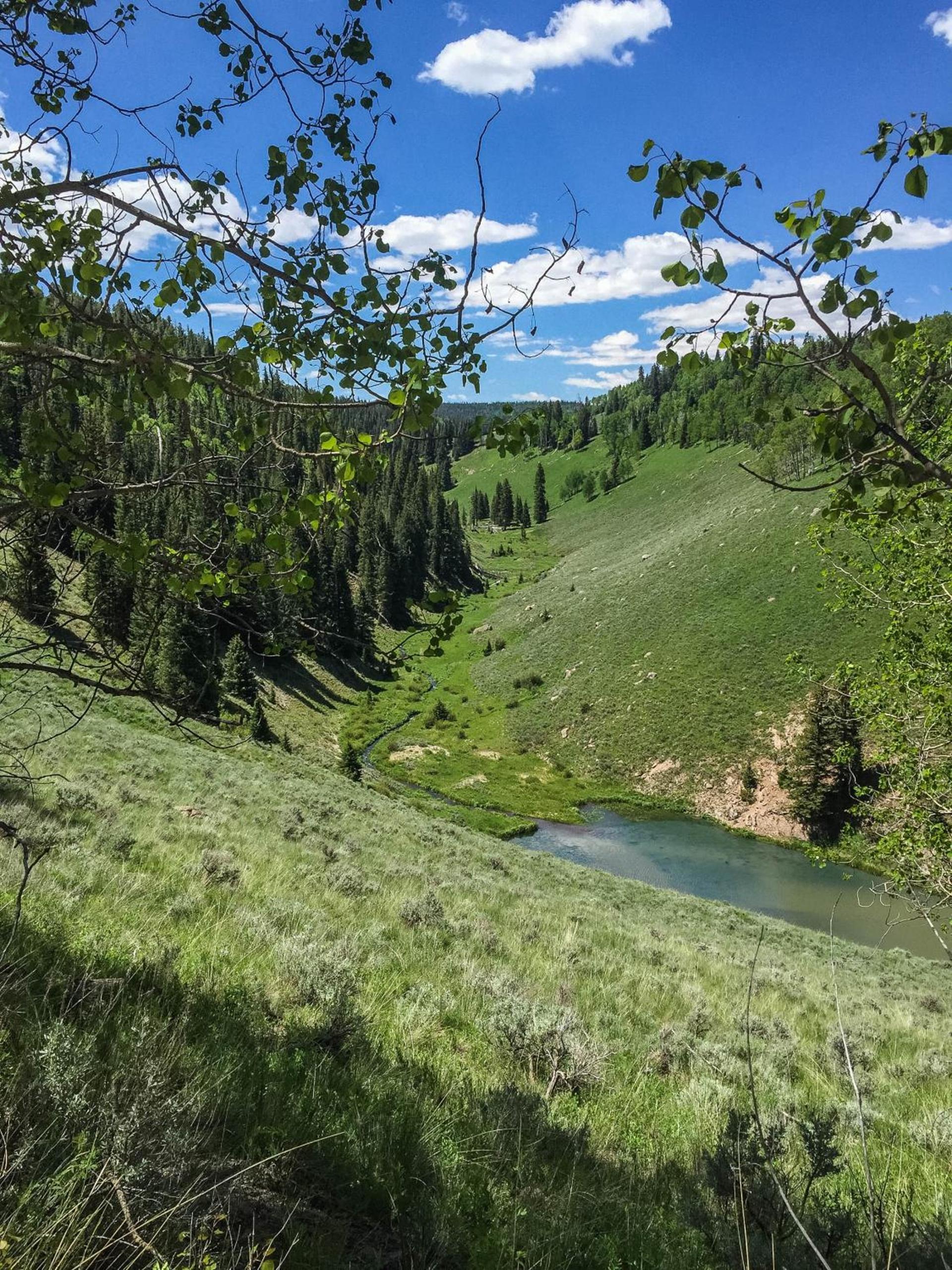 Arrowhead Mountain Lodge photo 91