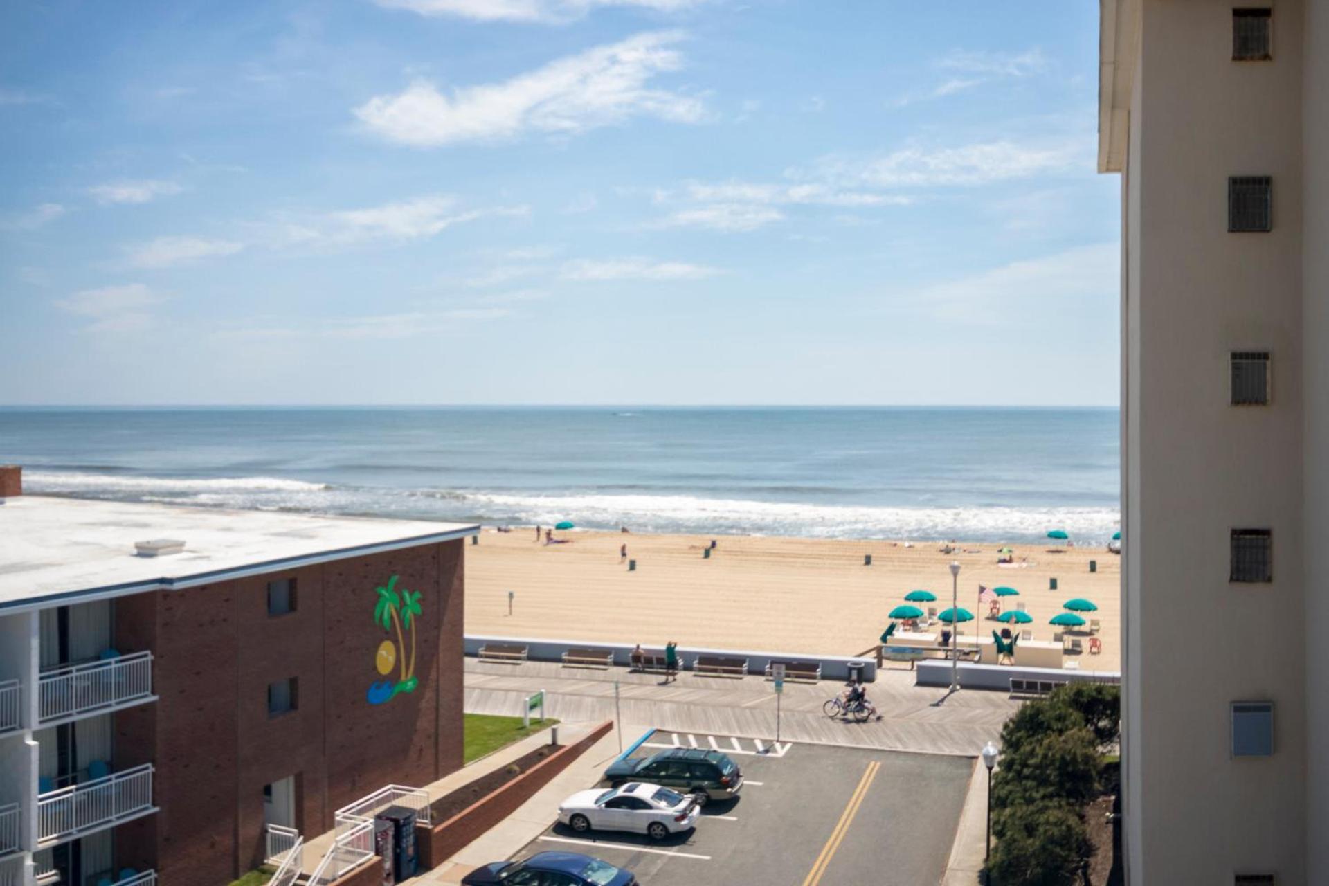 The Spinnaker photo 14