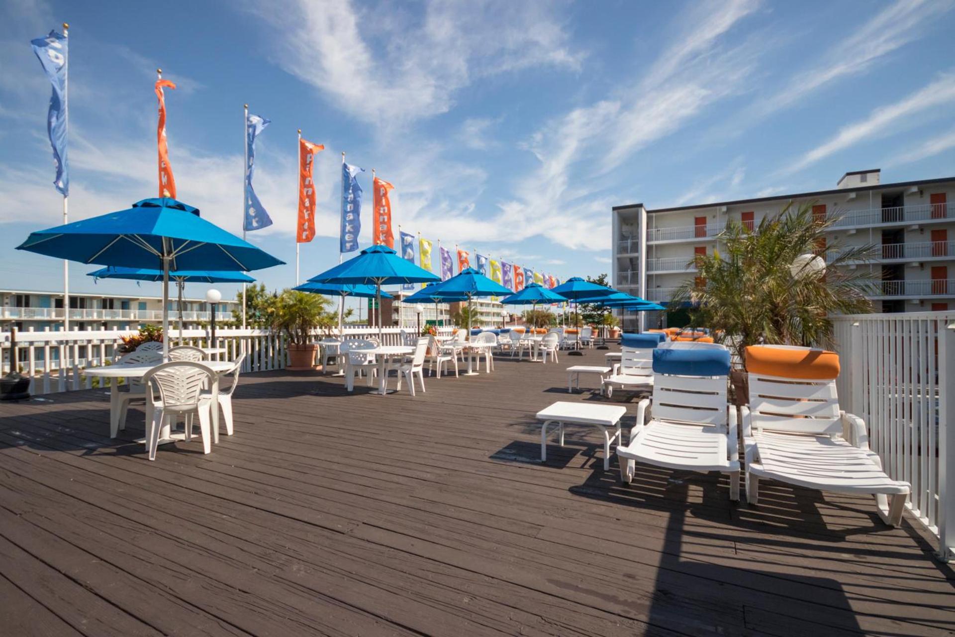 The Spinnaker photo 22
