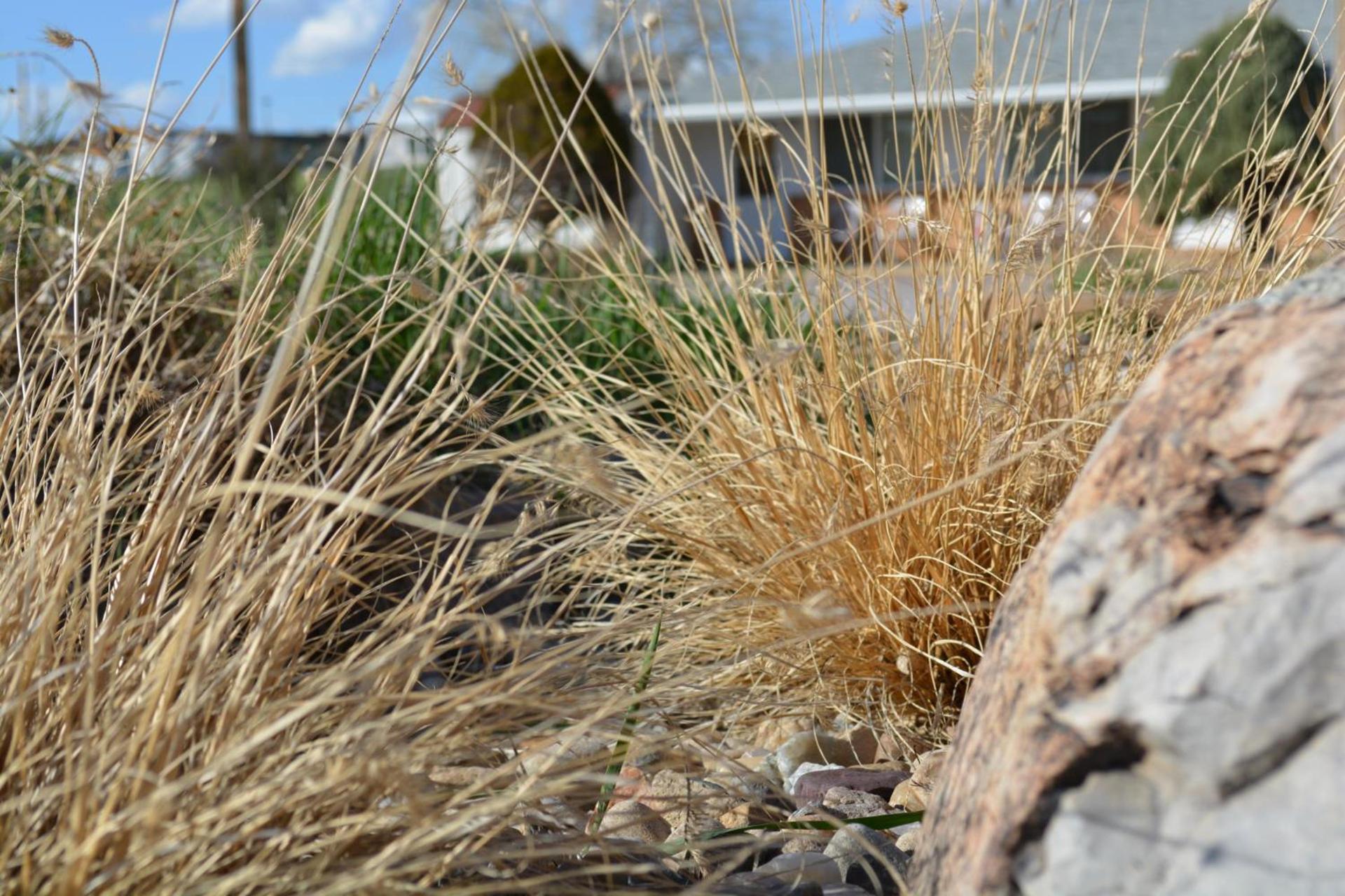 Sage Motel photo 7