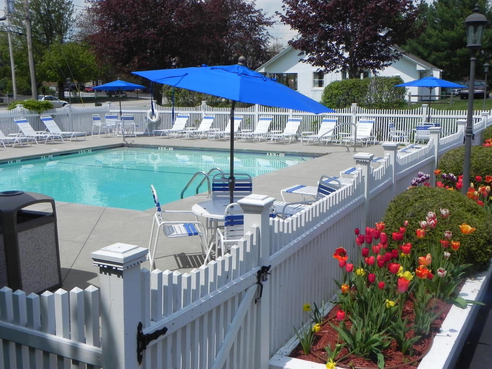 Elmwood Resort Hotel photo 83