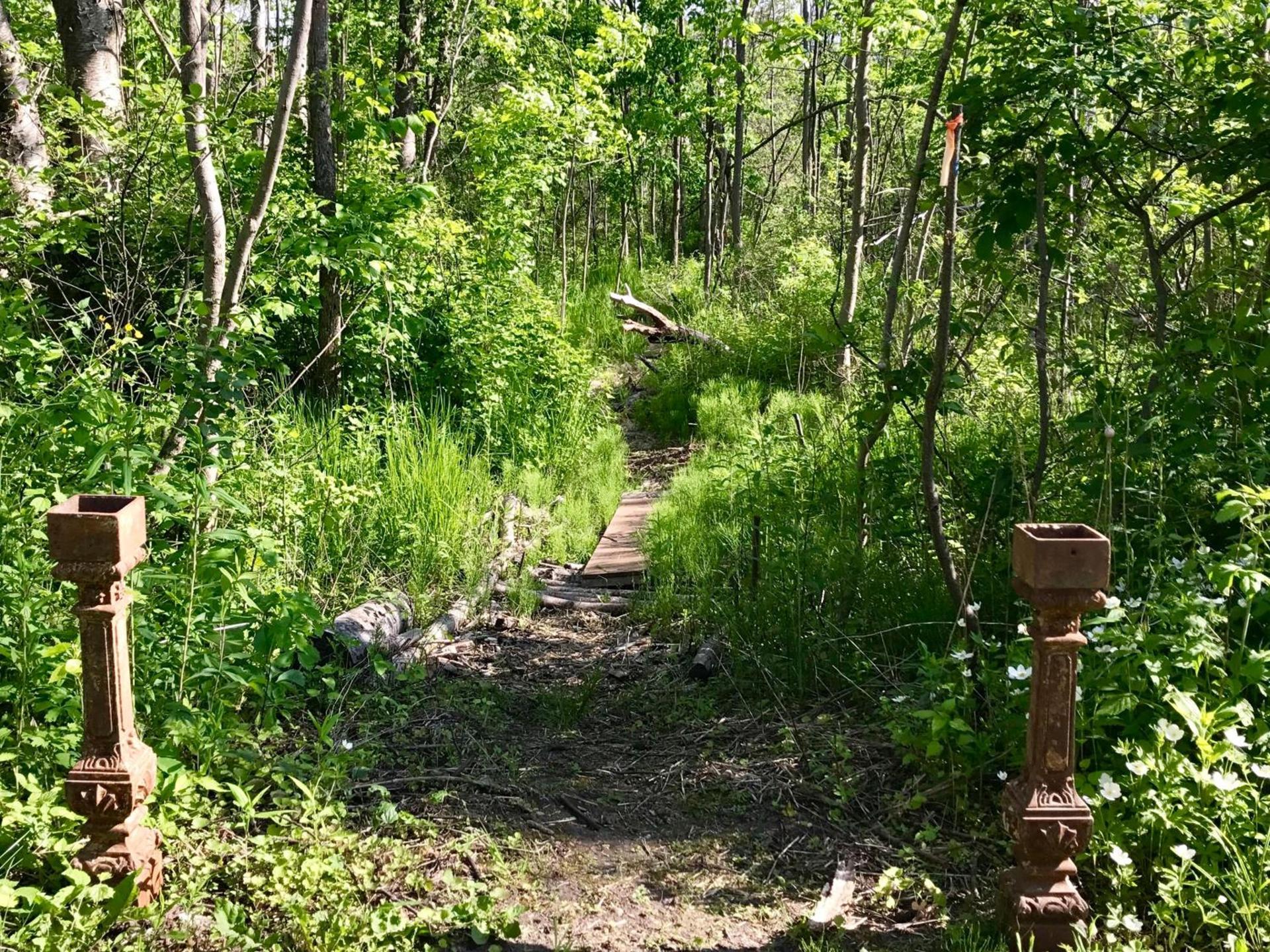 Cedar Ridge Cabins photo 10