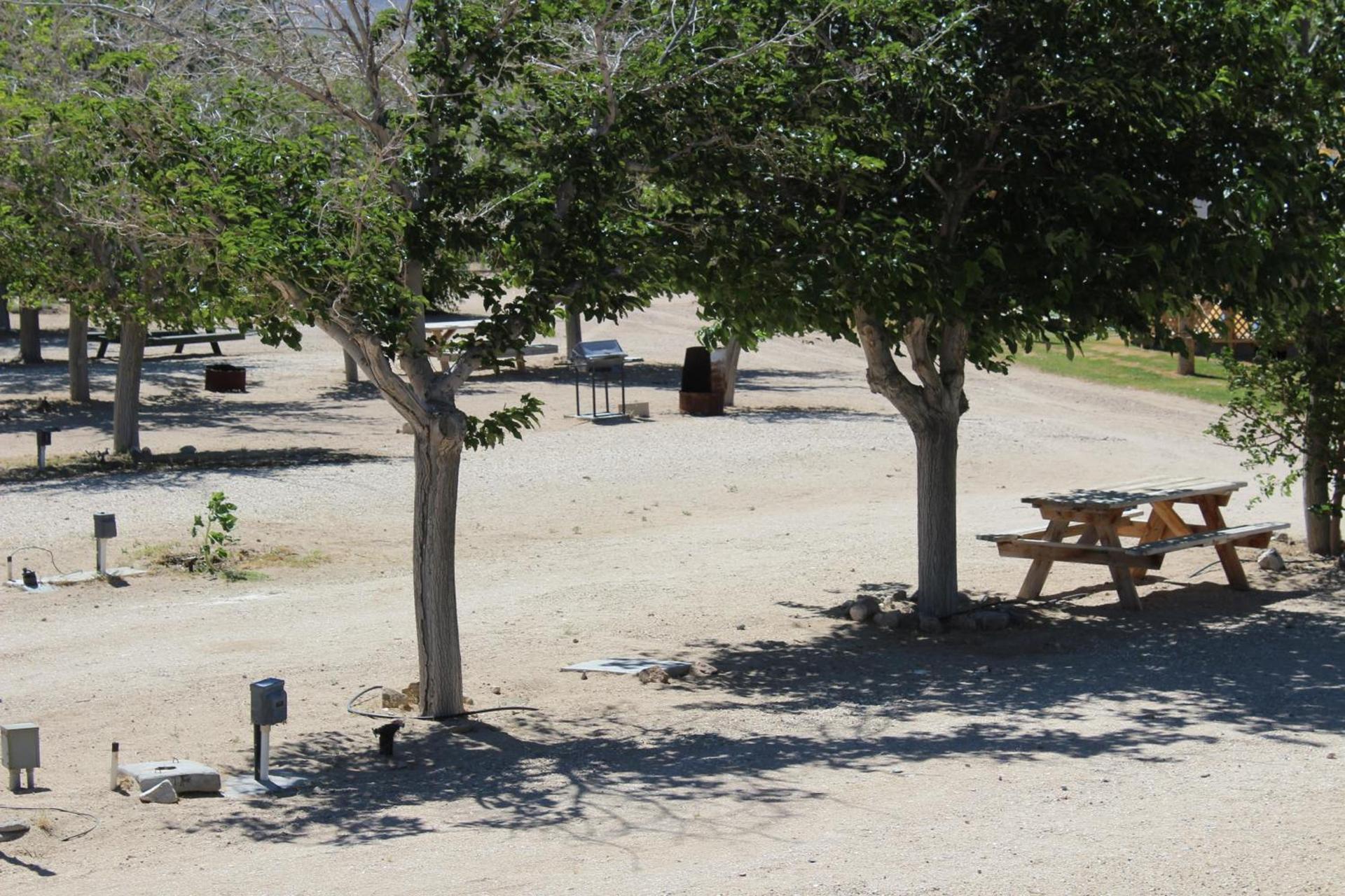 Olancha RV Park and Motel photo 41