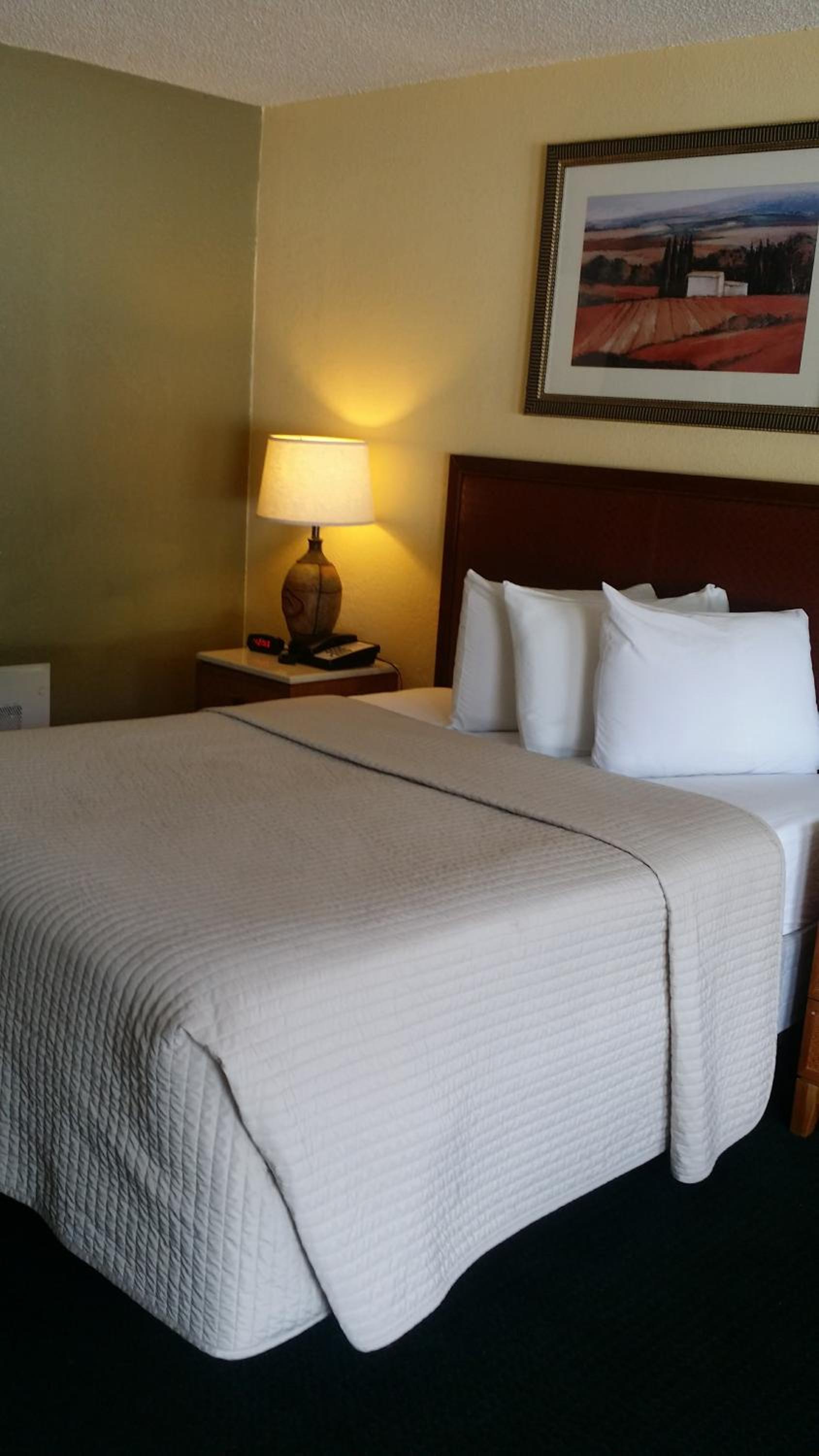 Days Inn by Wyndham Cocoa Cruiseport West At I-95/524 photo 45