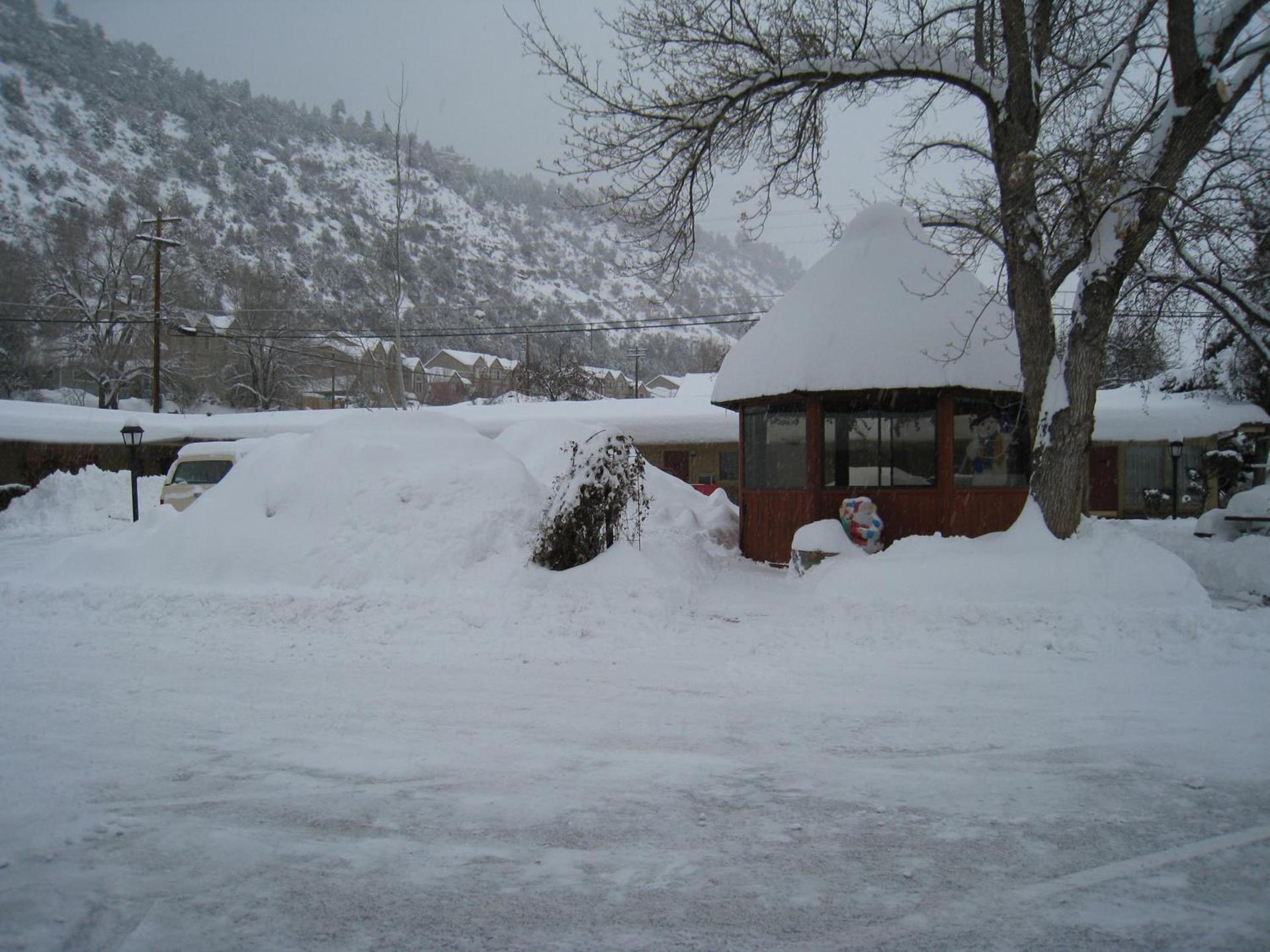 The Siesta Motel photo 22