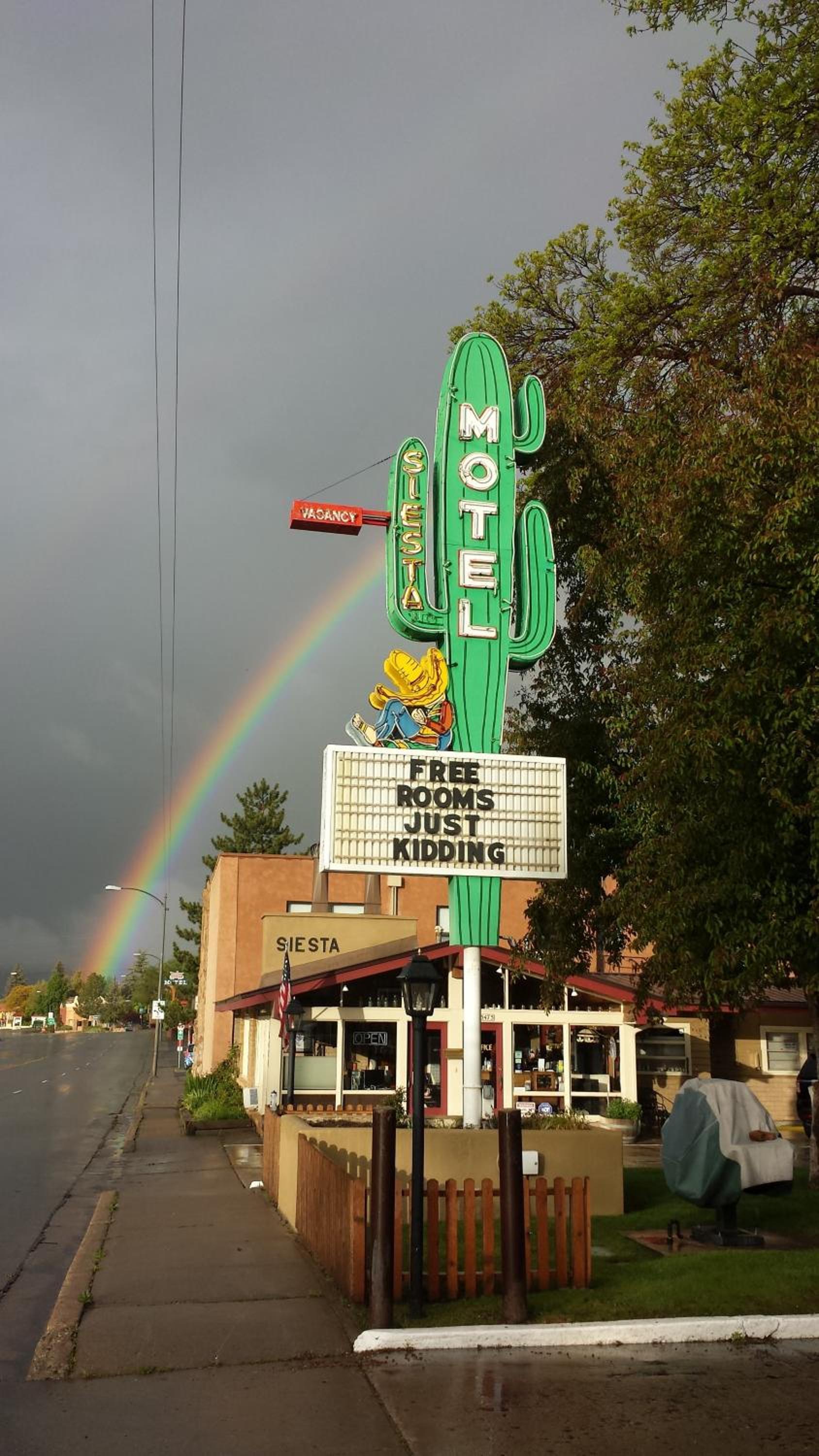 The Siesta Motel photo 1