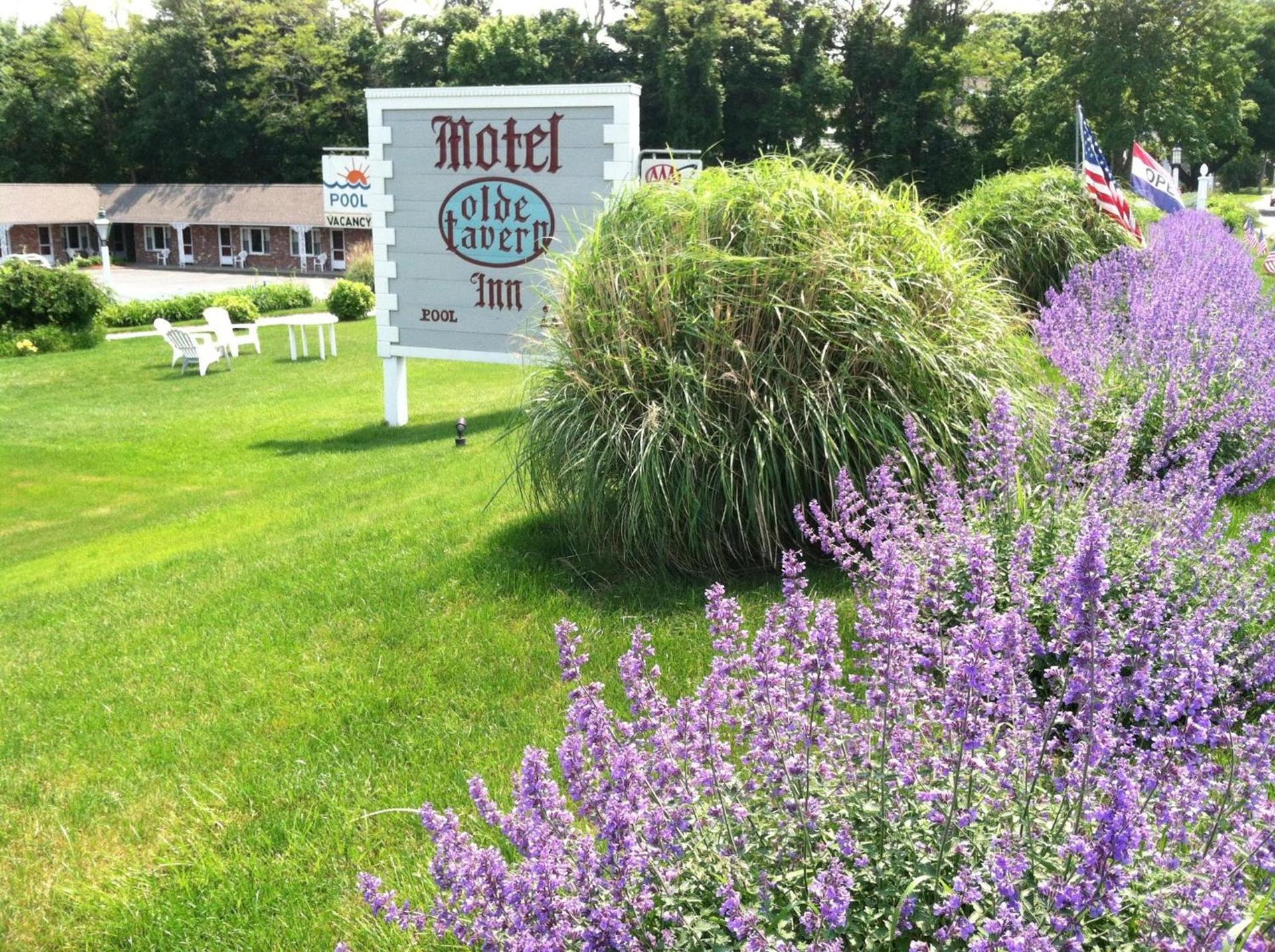 Olde Tavern Motel and Inn - Cape Cod photo 32