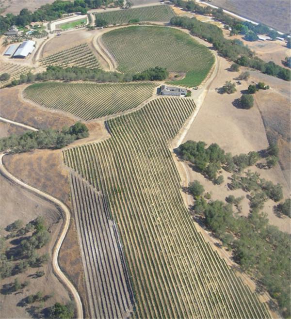 The Eden House Vineyard photo 69