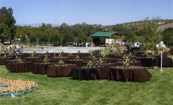 The Eden House Vineyard photo 78