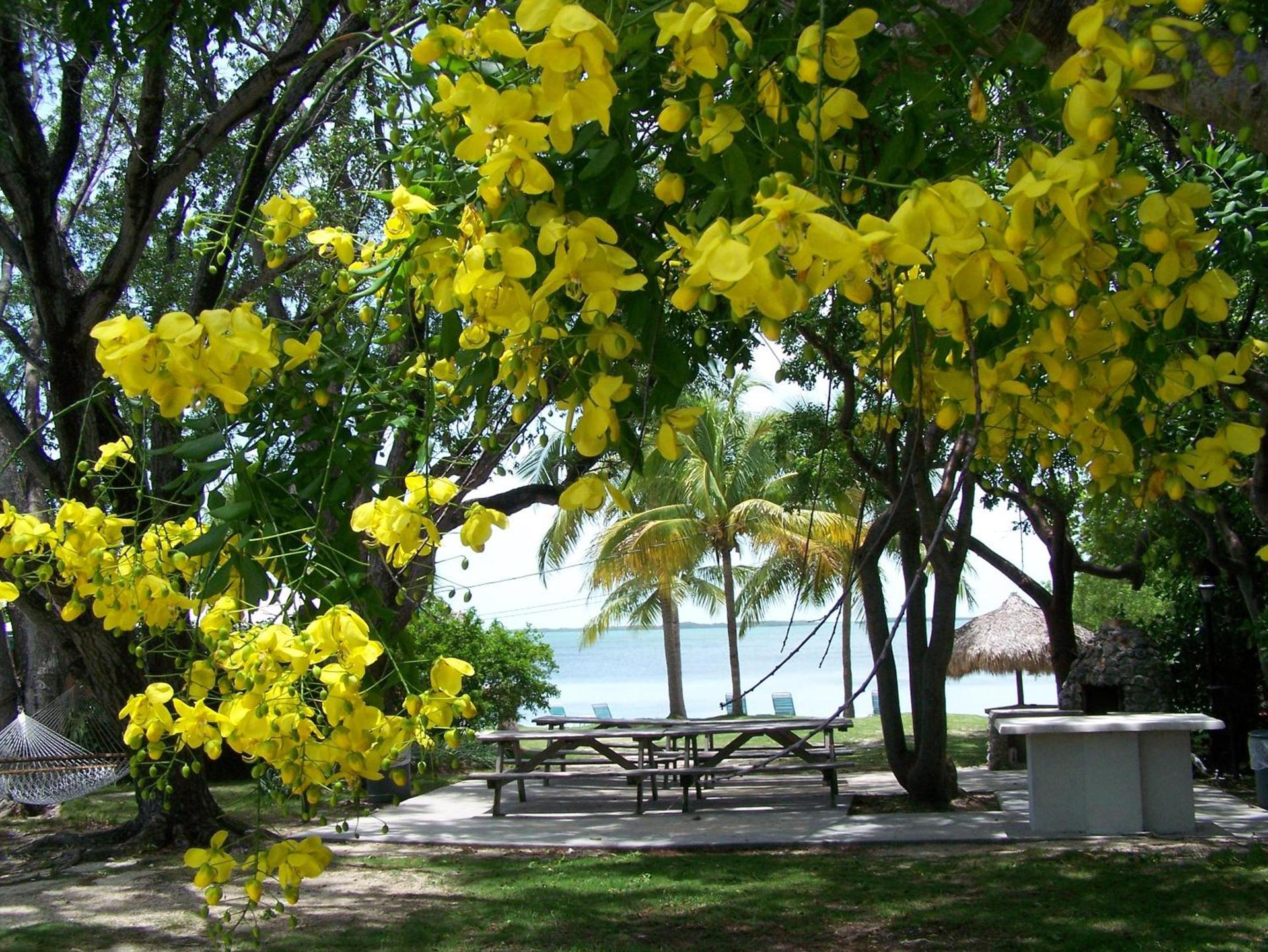 Rock Reef Resort photo 100