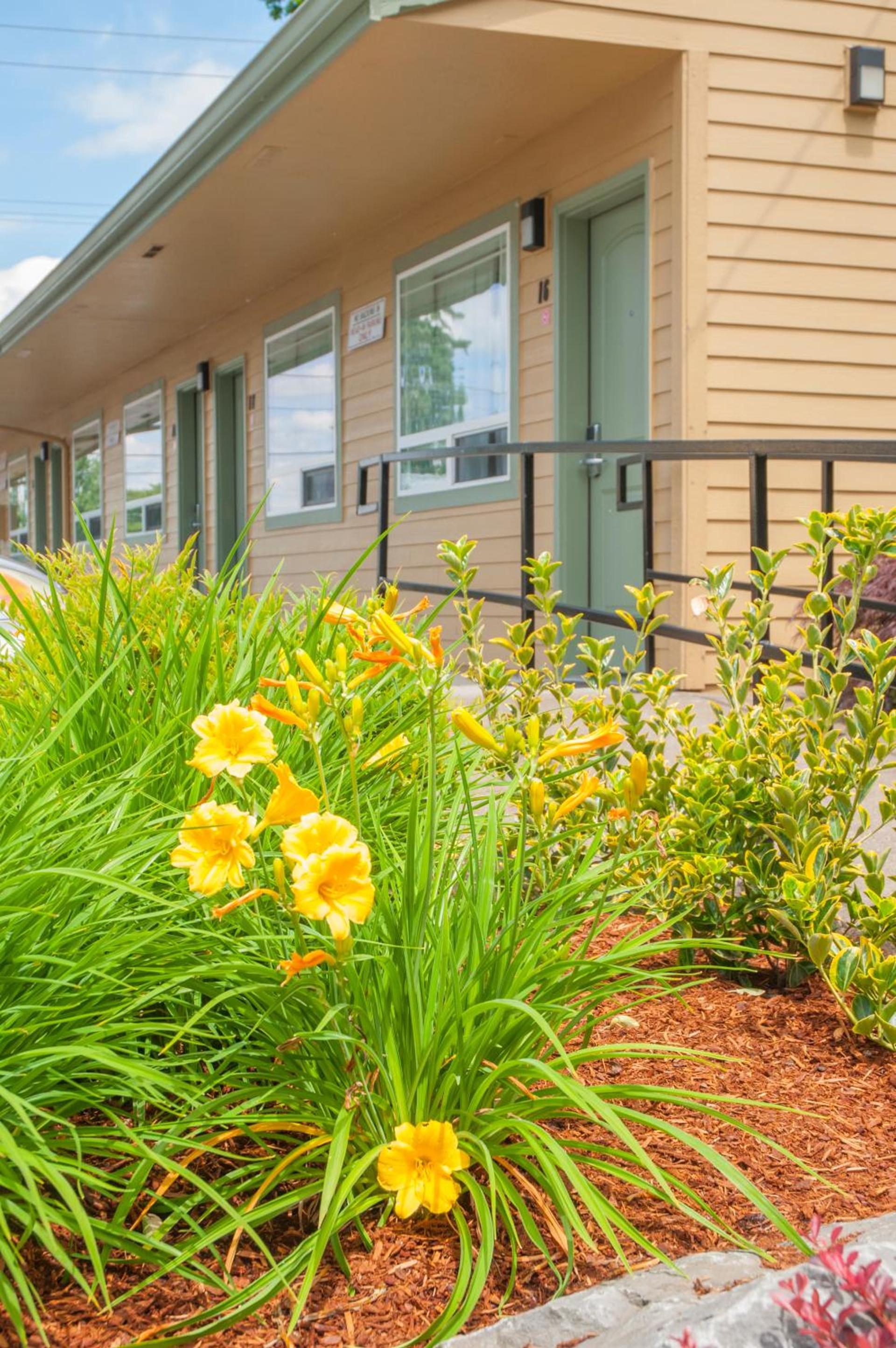 Nordic Inn and Suites photo 60
