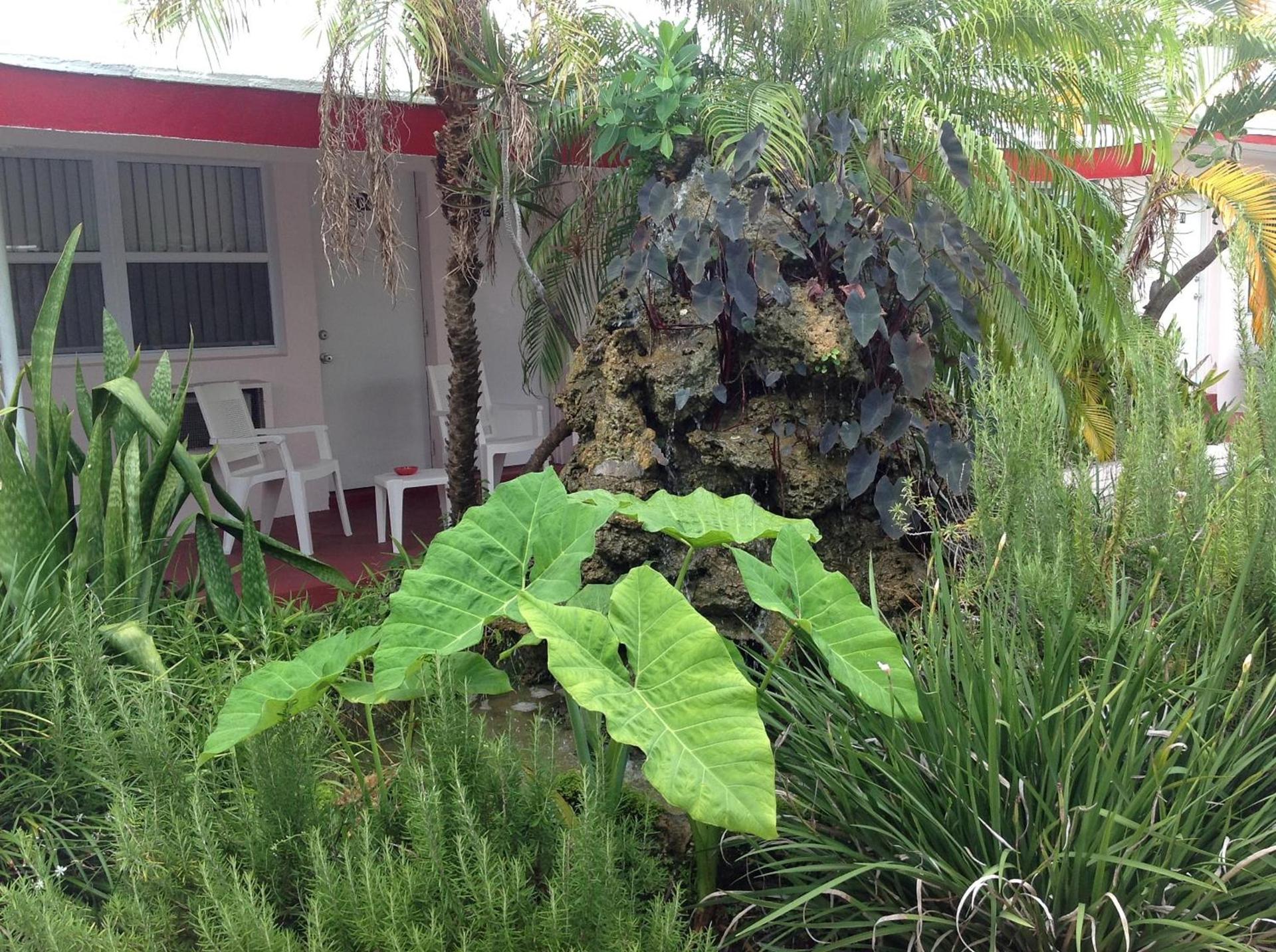 Birch Patio Motel photo 2