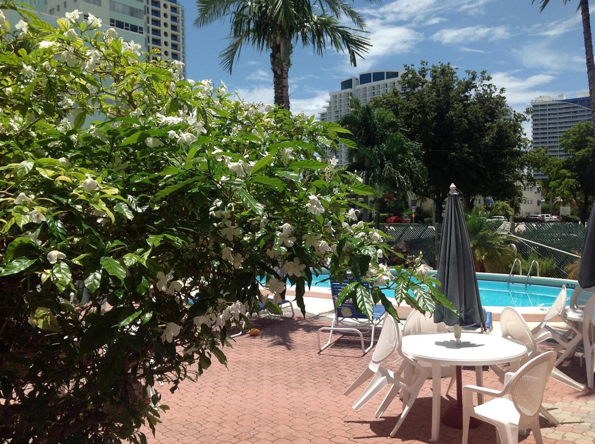 Birch Patio Motel photo 6