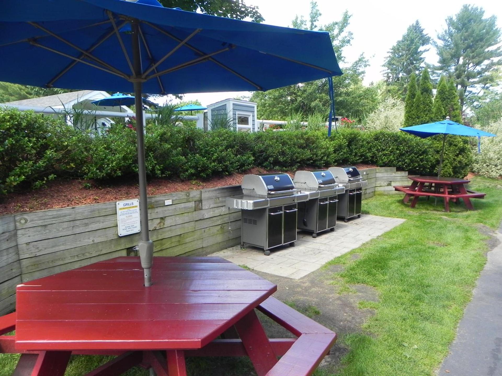 Elmwood Resort Hotel photo 43