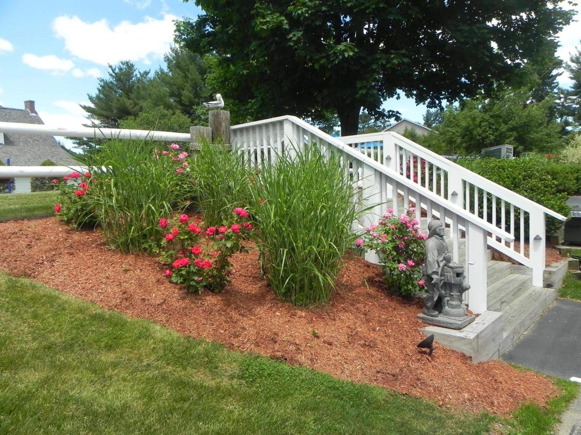 Elmwood Resort Hotel photo 45