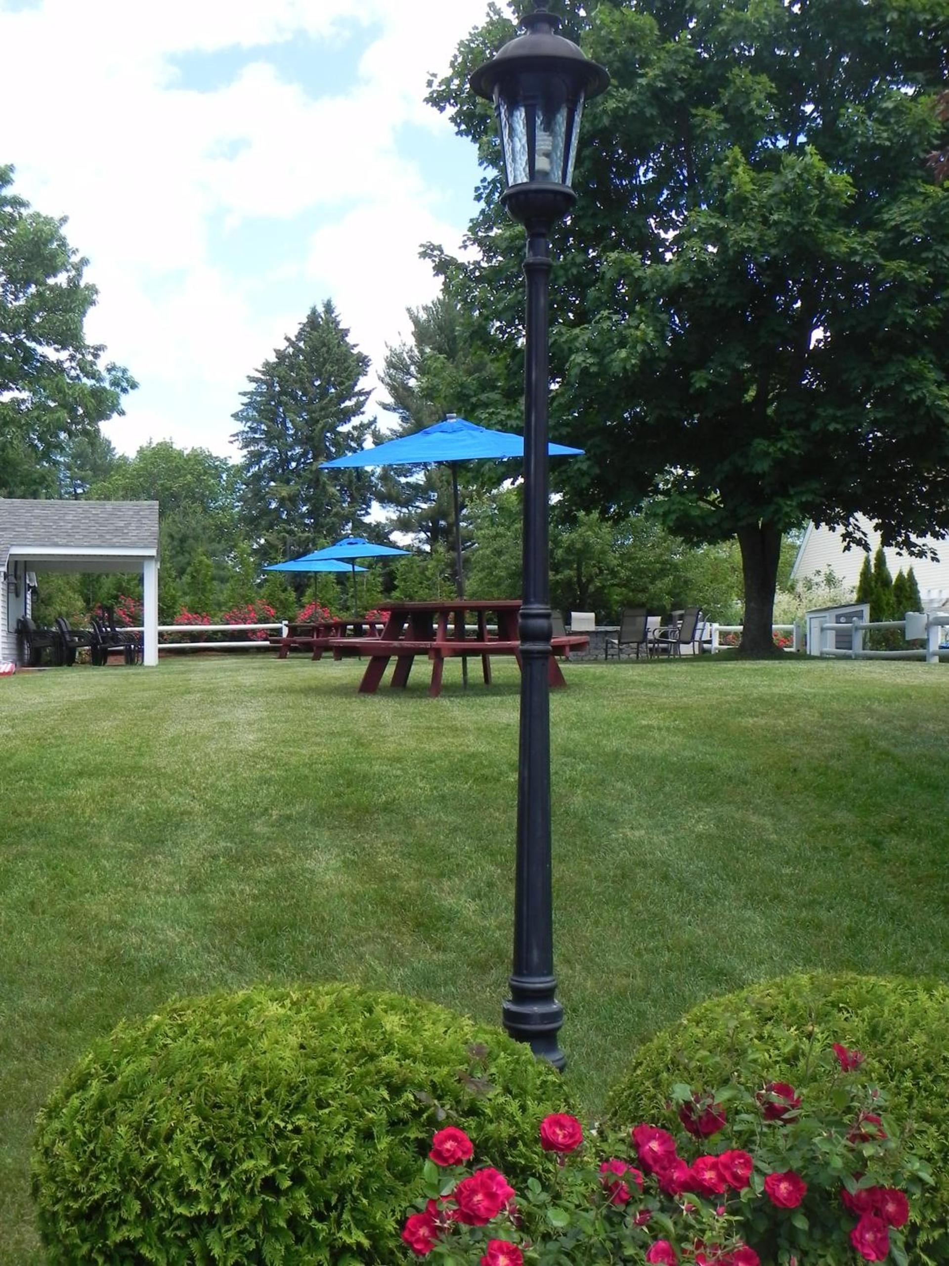 Elmwood Resort Hotel photo 25