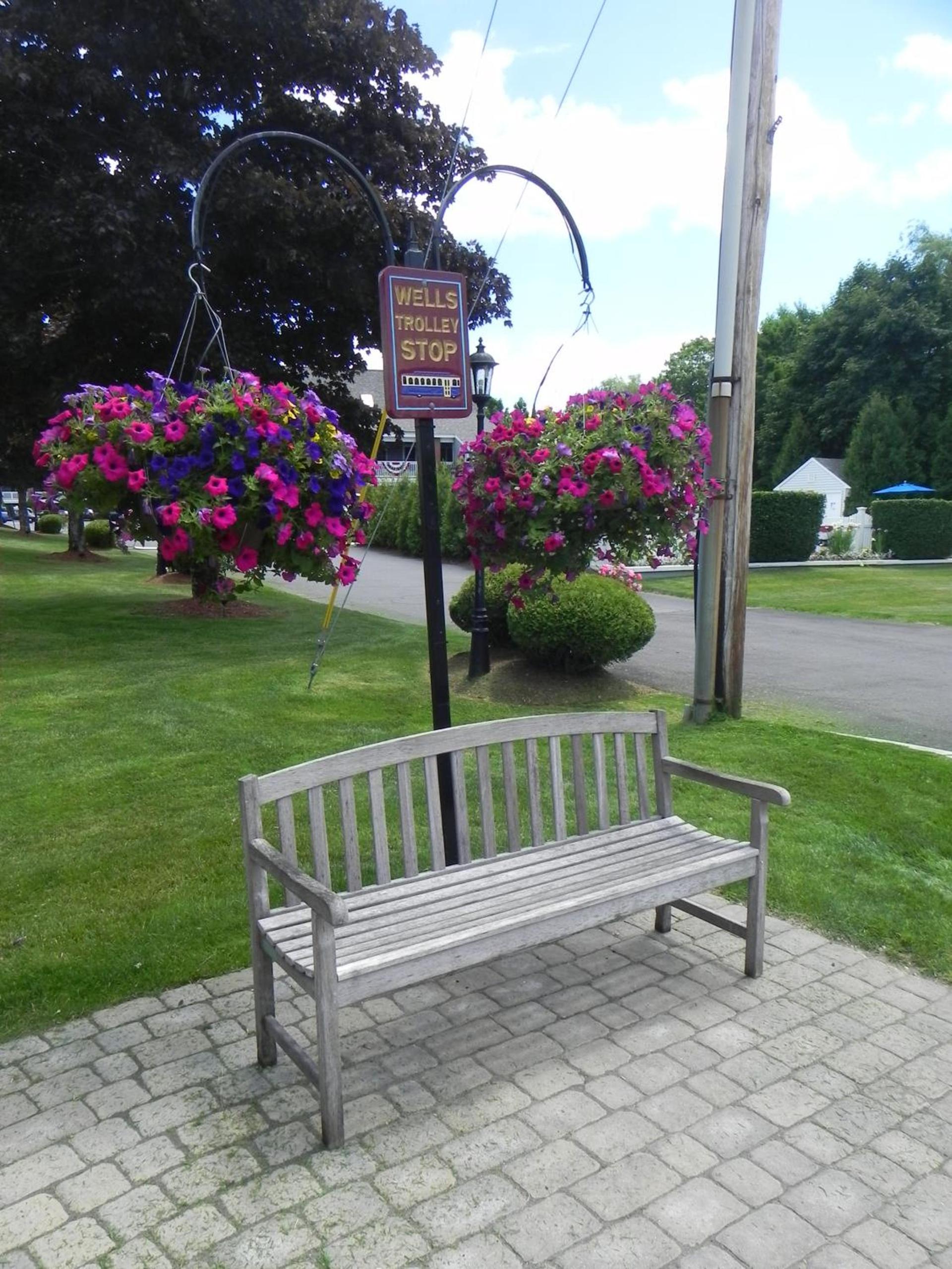 Elmwood Resort Hotel photo 16