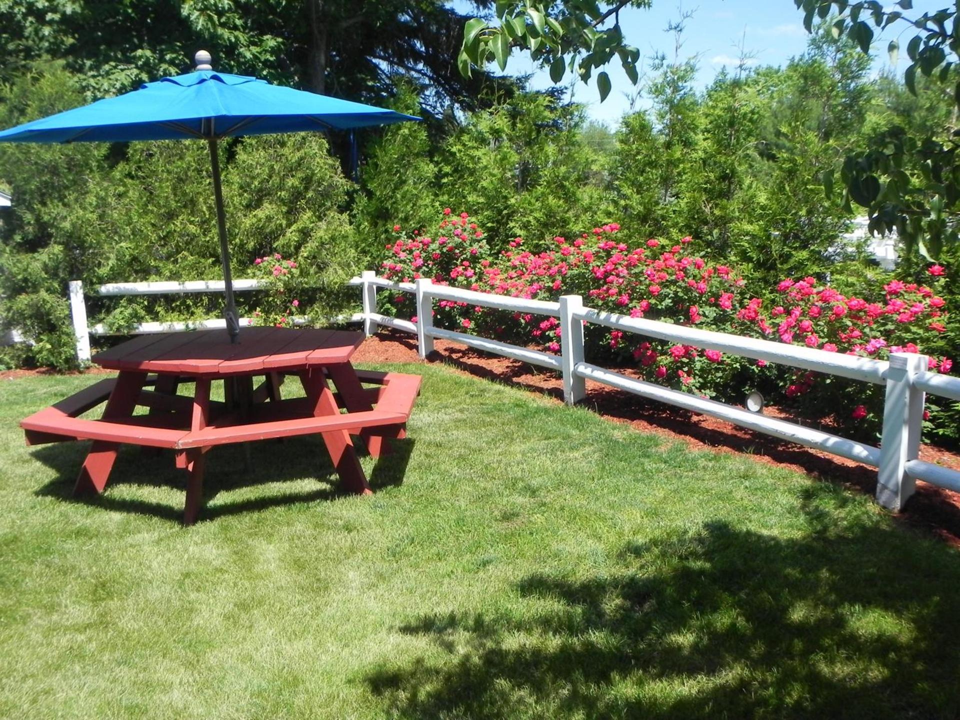 Elmwood Resort Hotel photo 30