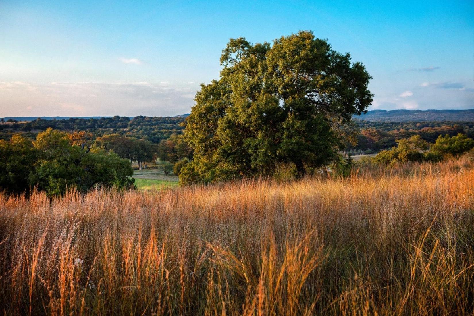Joshua Creek Ranch photo 31