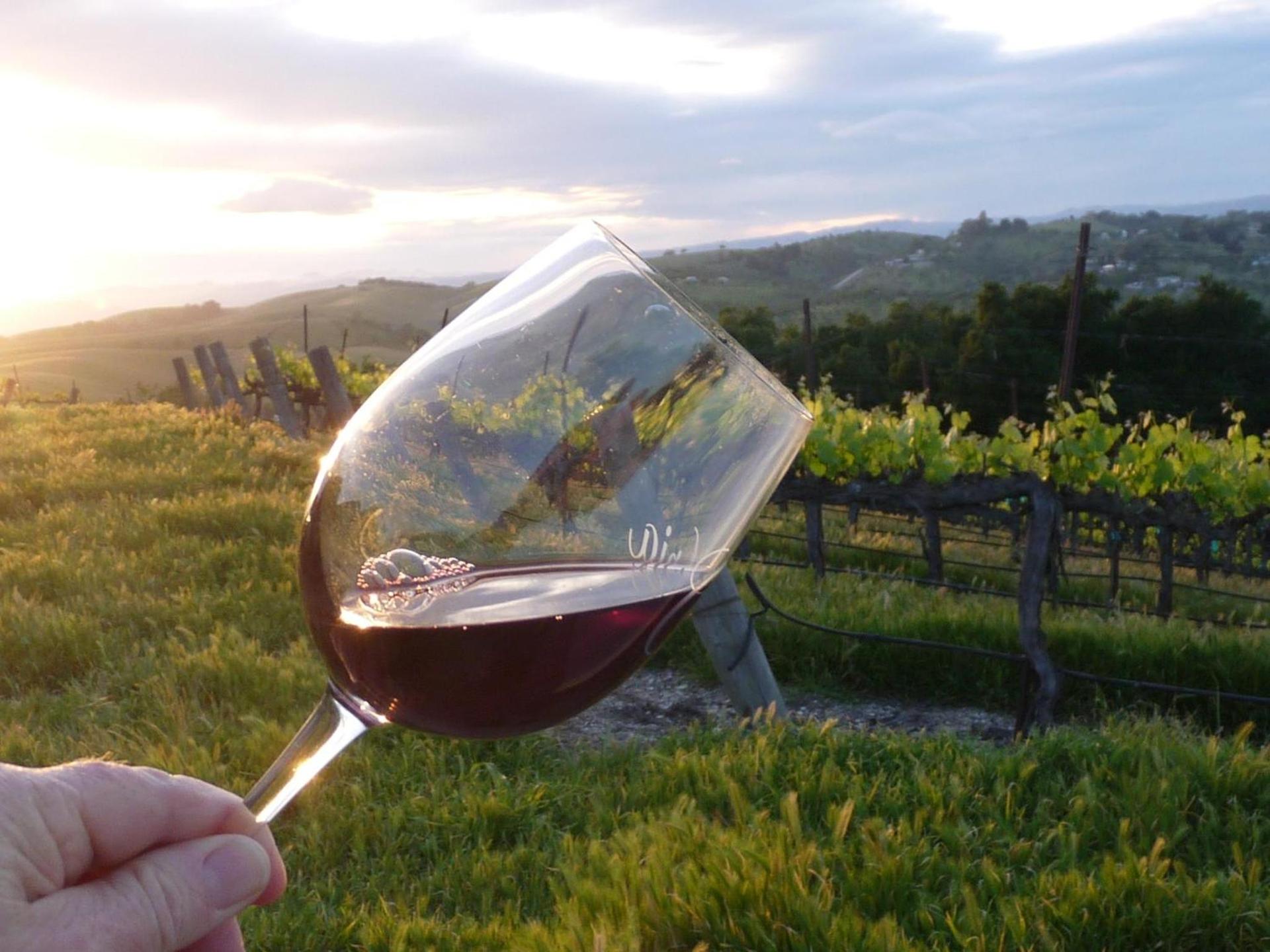 The Eden House Vineyard photo 65