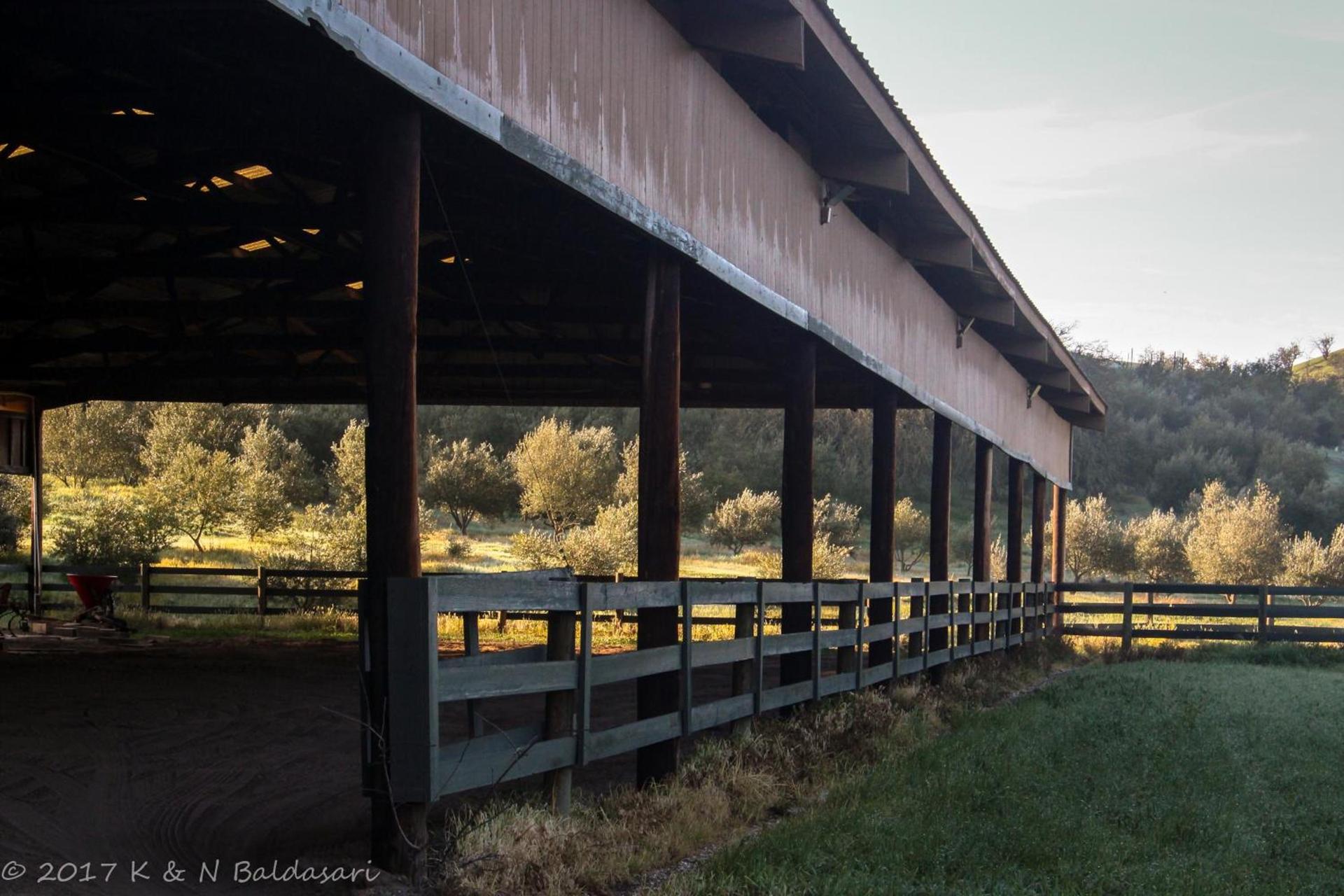 The Eden House Vineyard photo 61