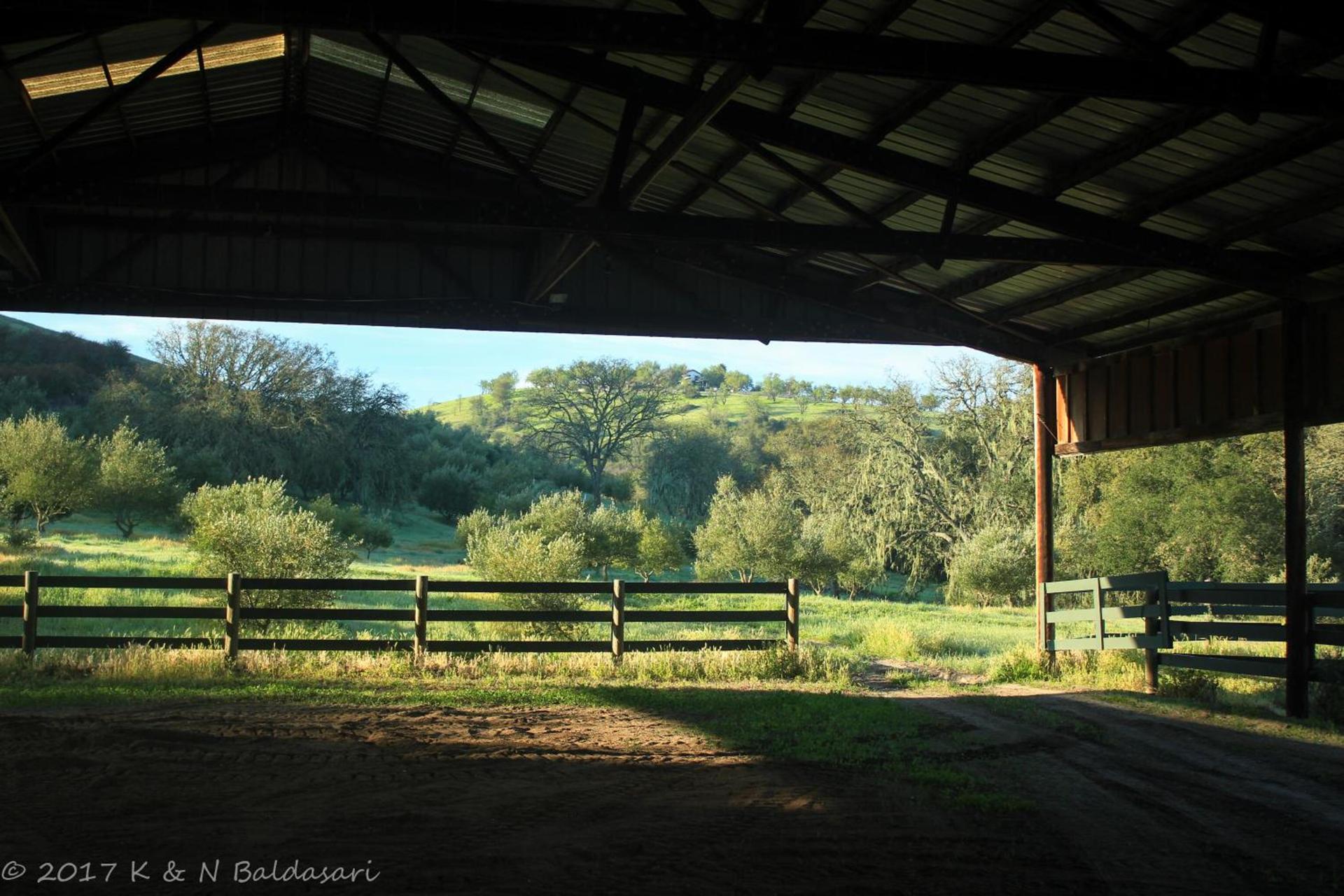 The Eden House Vineyard photo 63