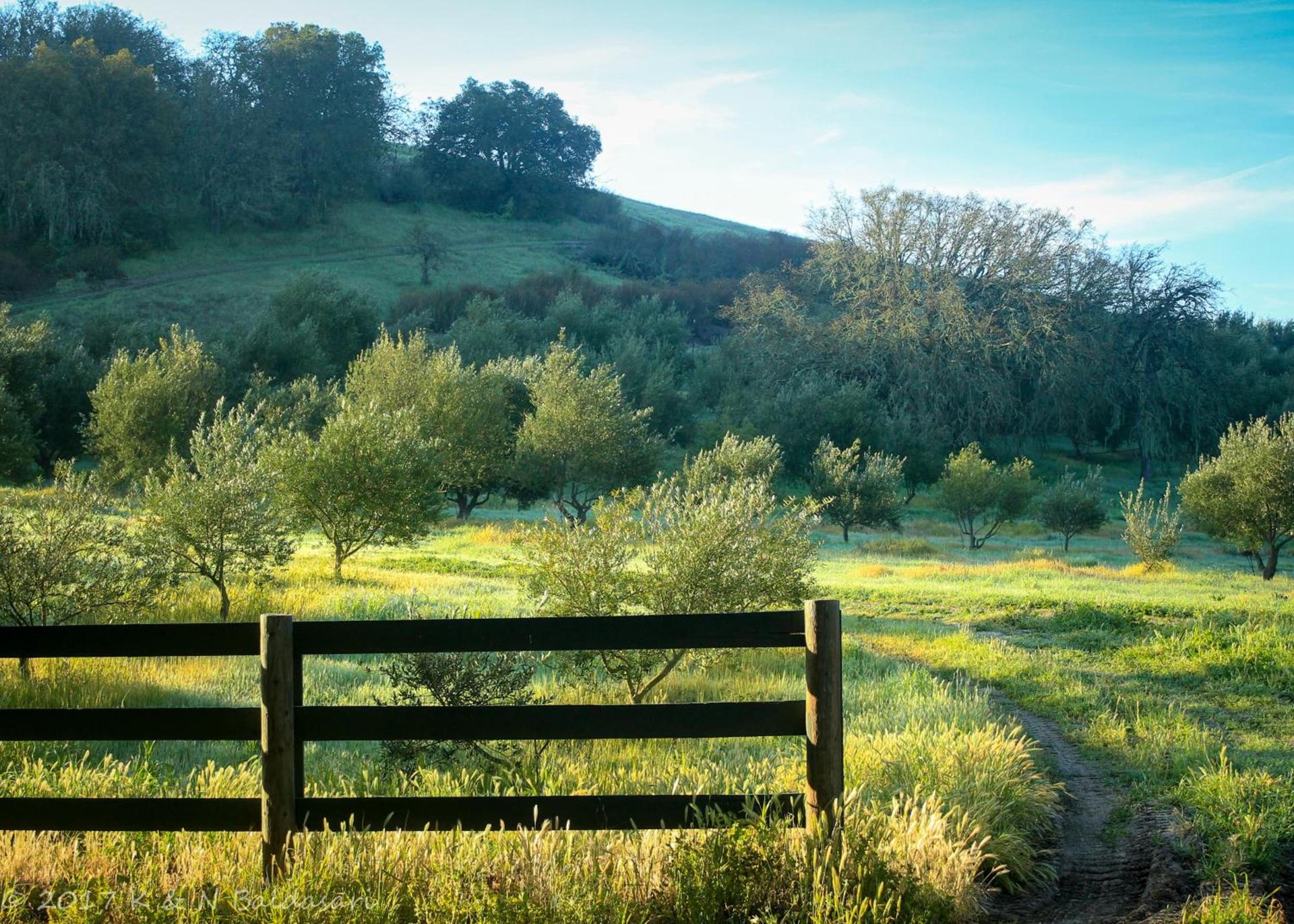 The Eden House Vineyard photo 64