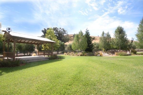 The Eden House Vineyard photo 58