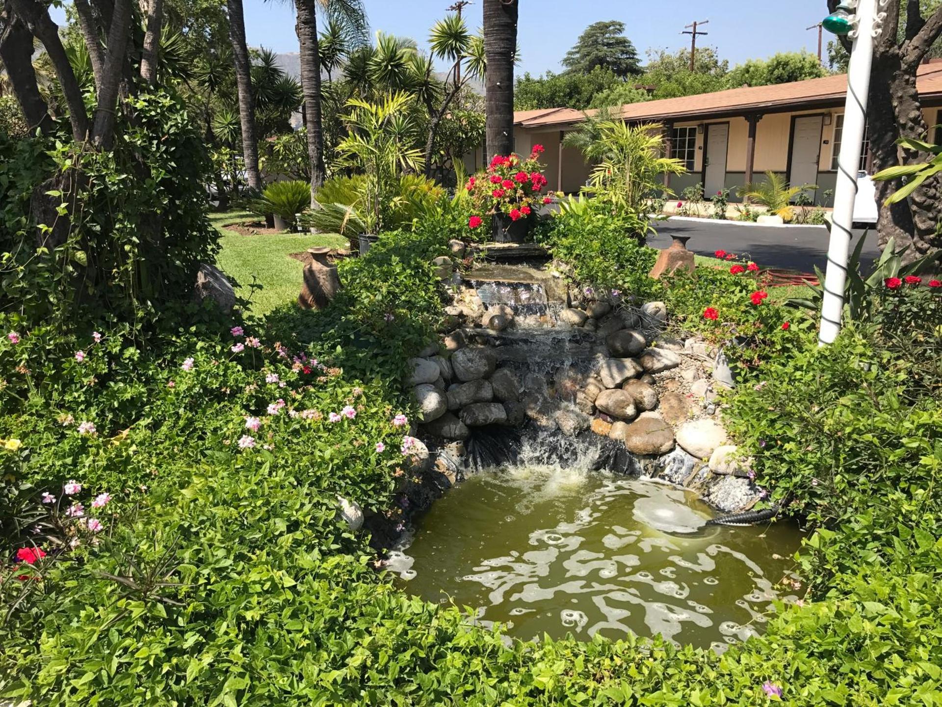 Palm Tropics Motel photo 10